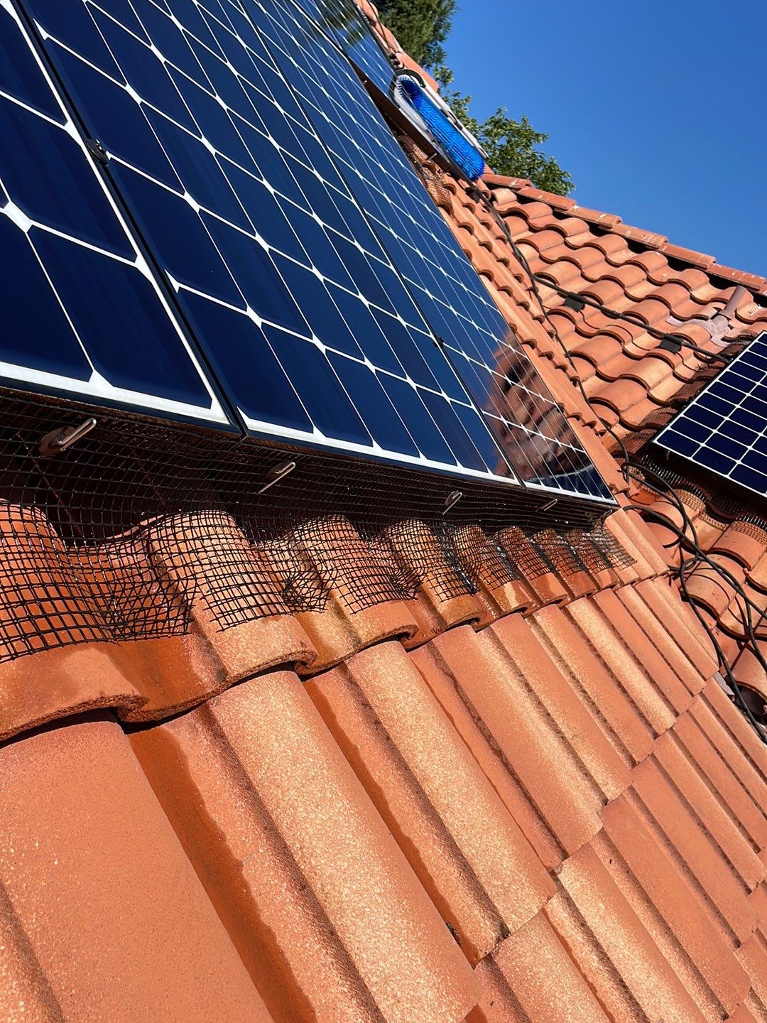 Solar Panel Bird Proofing using Critter Guard Mesh by All One Solar Shine