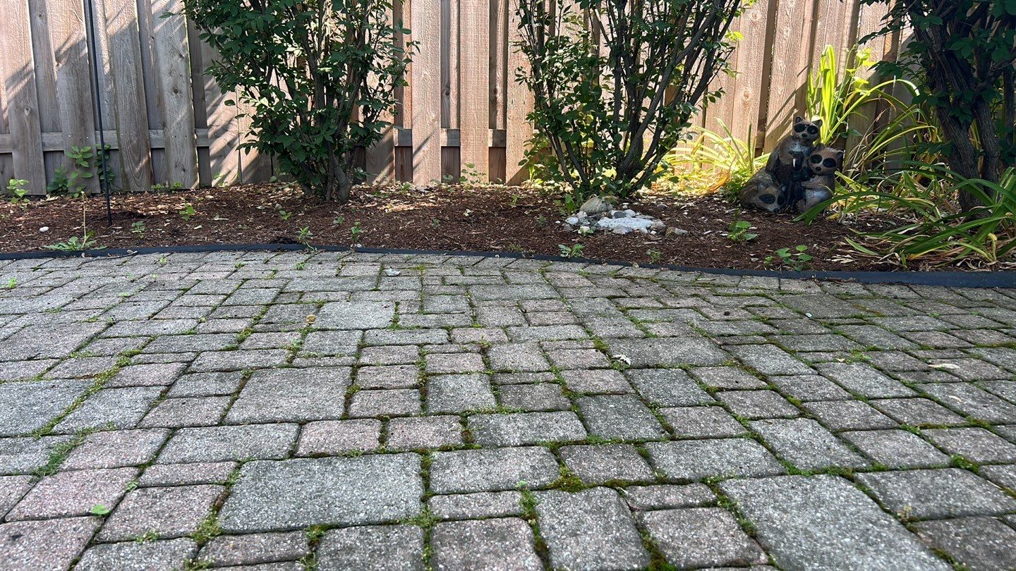 Brick paver clean, sand and seal. using Algaecide, soft wash soap by Northern Power Washing LLC.