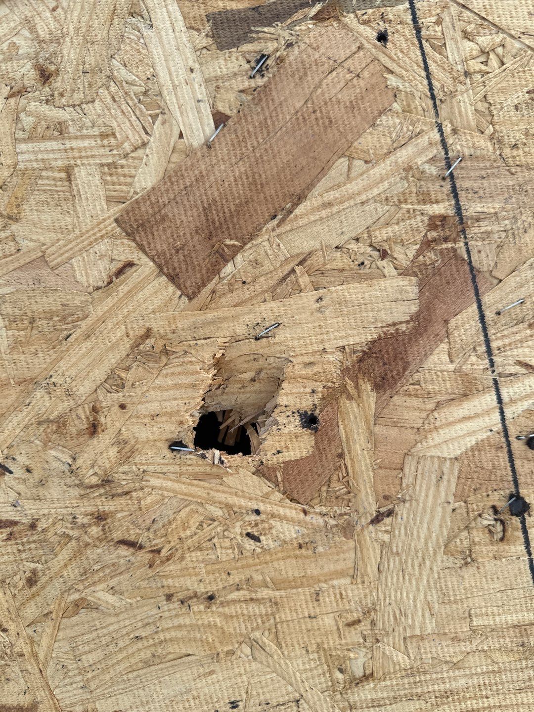 Hail Damage using Owen's Corning Duration (Lifetime) Shingles by Roof Repair Company