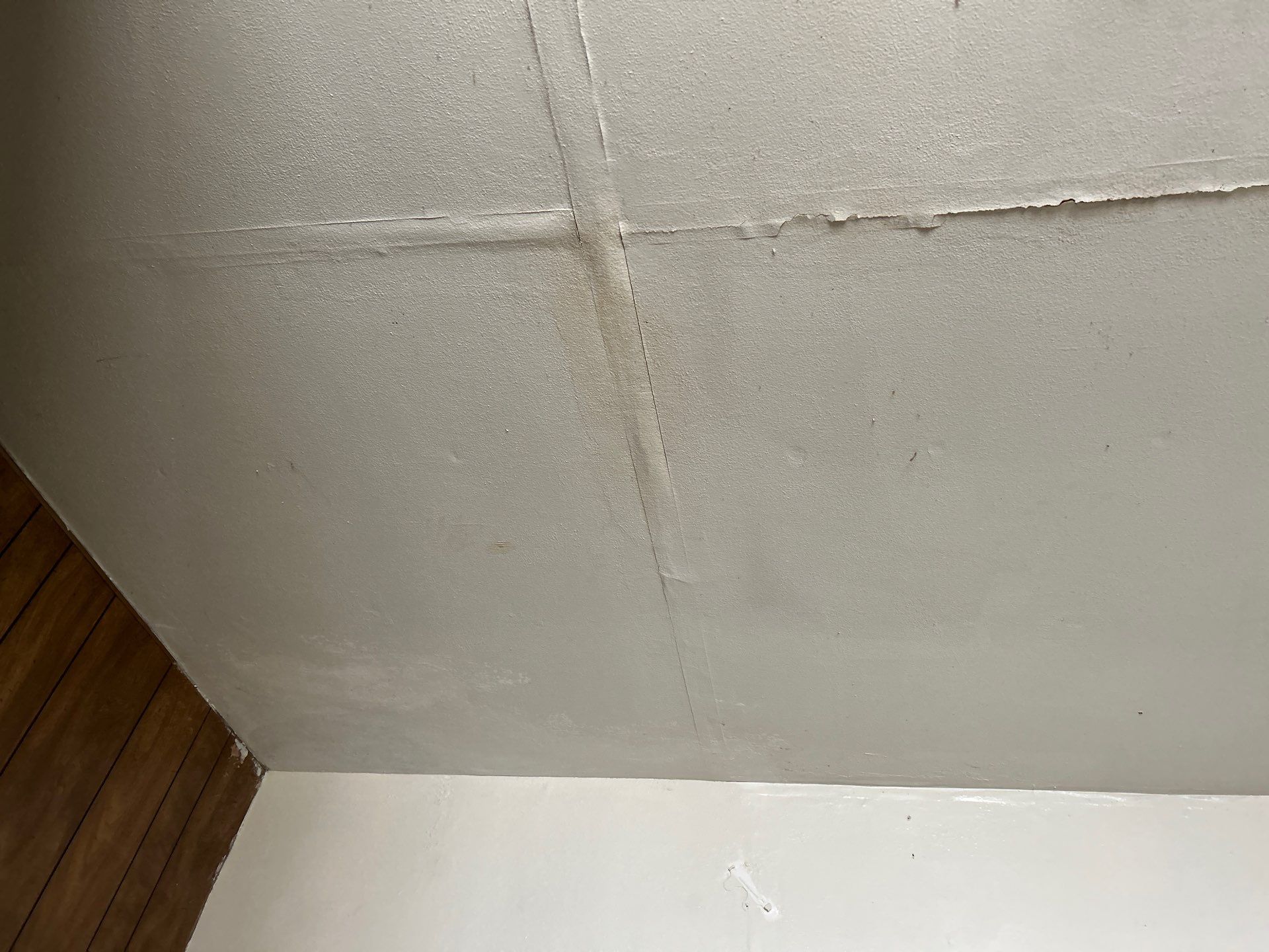 Ceiling Repairs / Painting by Handyman State LLC