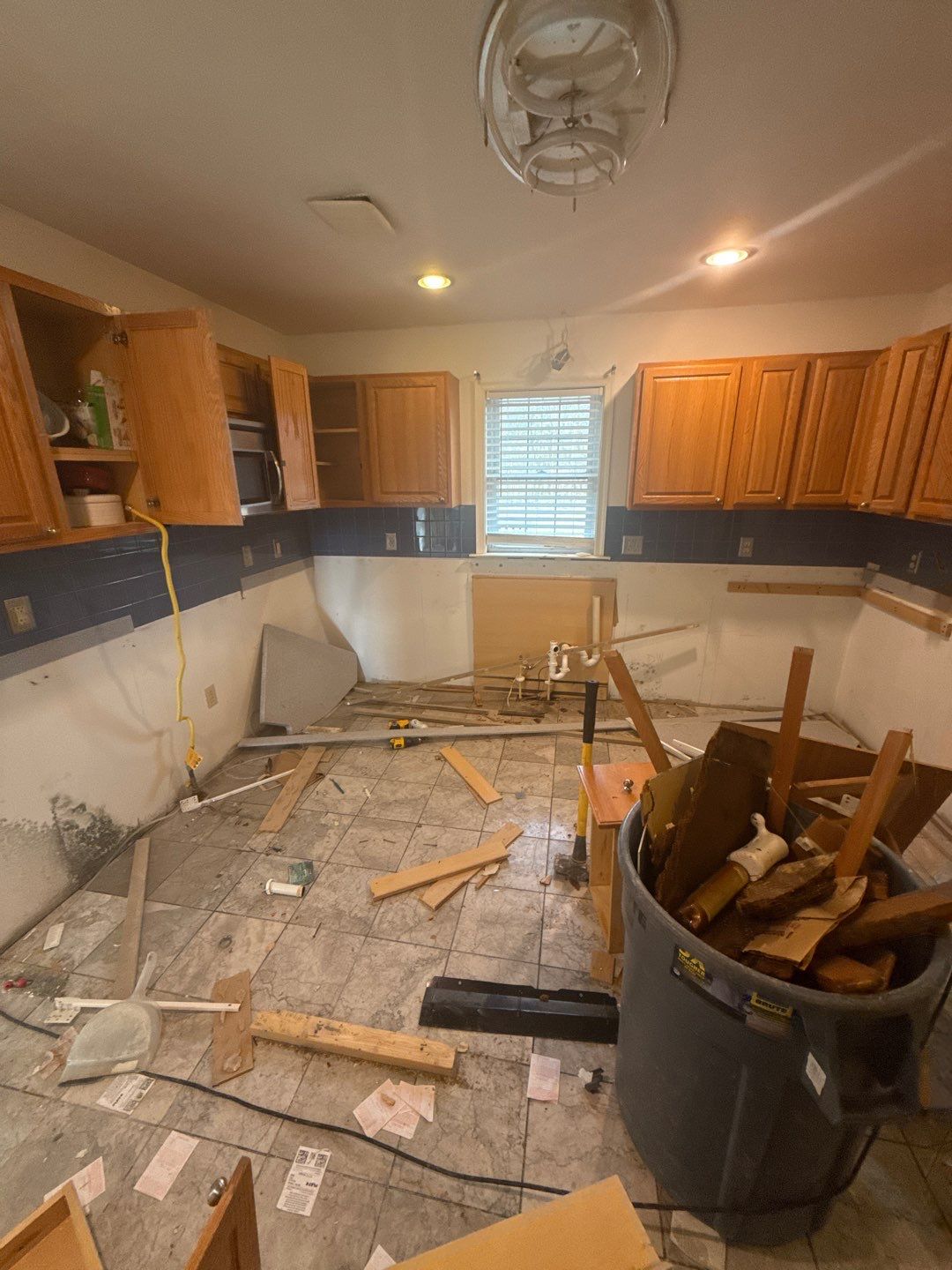 Water Damage& Mold Remediation Project-Dover, DE. by Healthy Home Solutions