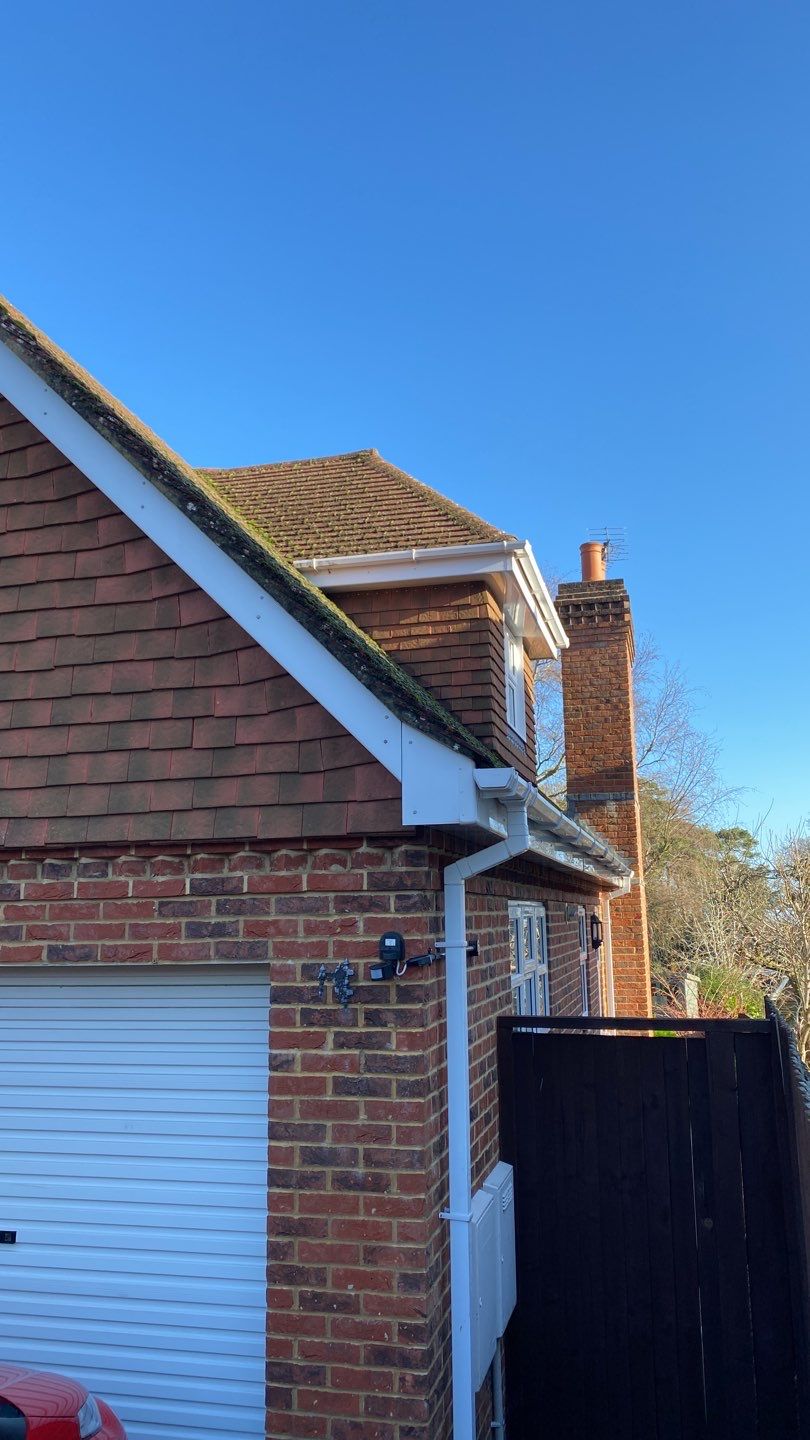 Moss removal and biocide treatment using Moss Scraper Blades by Ges Exterior Cleaning ltd