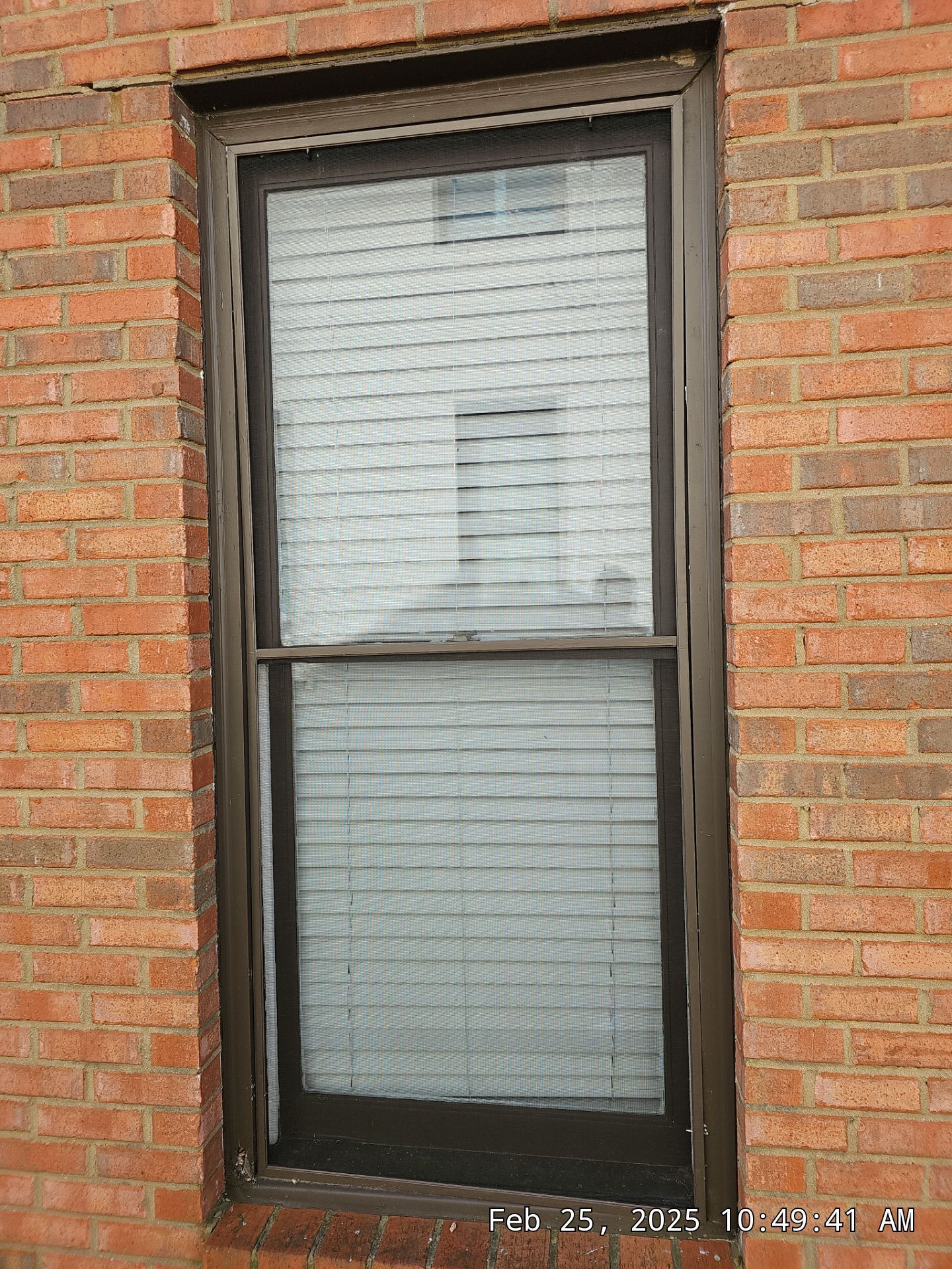 Bailey Project in Vestavia Hills by The Window Source