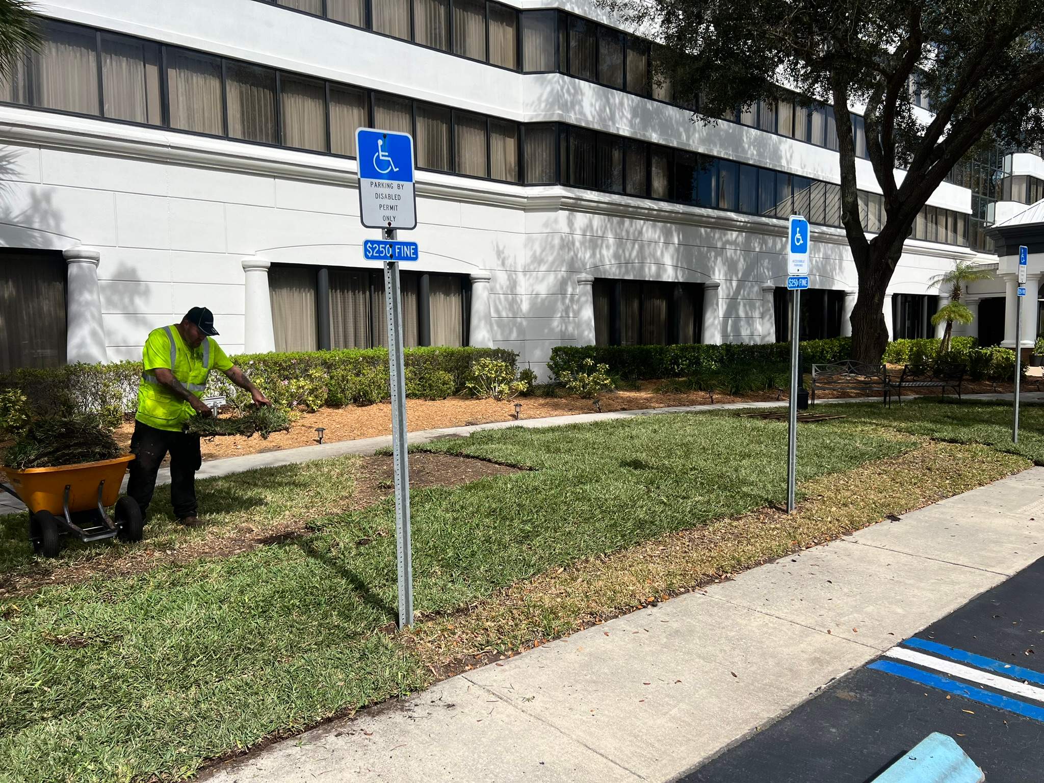 Landscape Install | Marriott Hotel by ProGreen Services