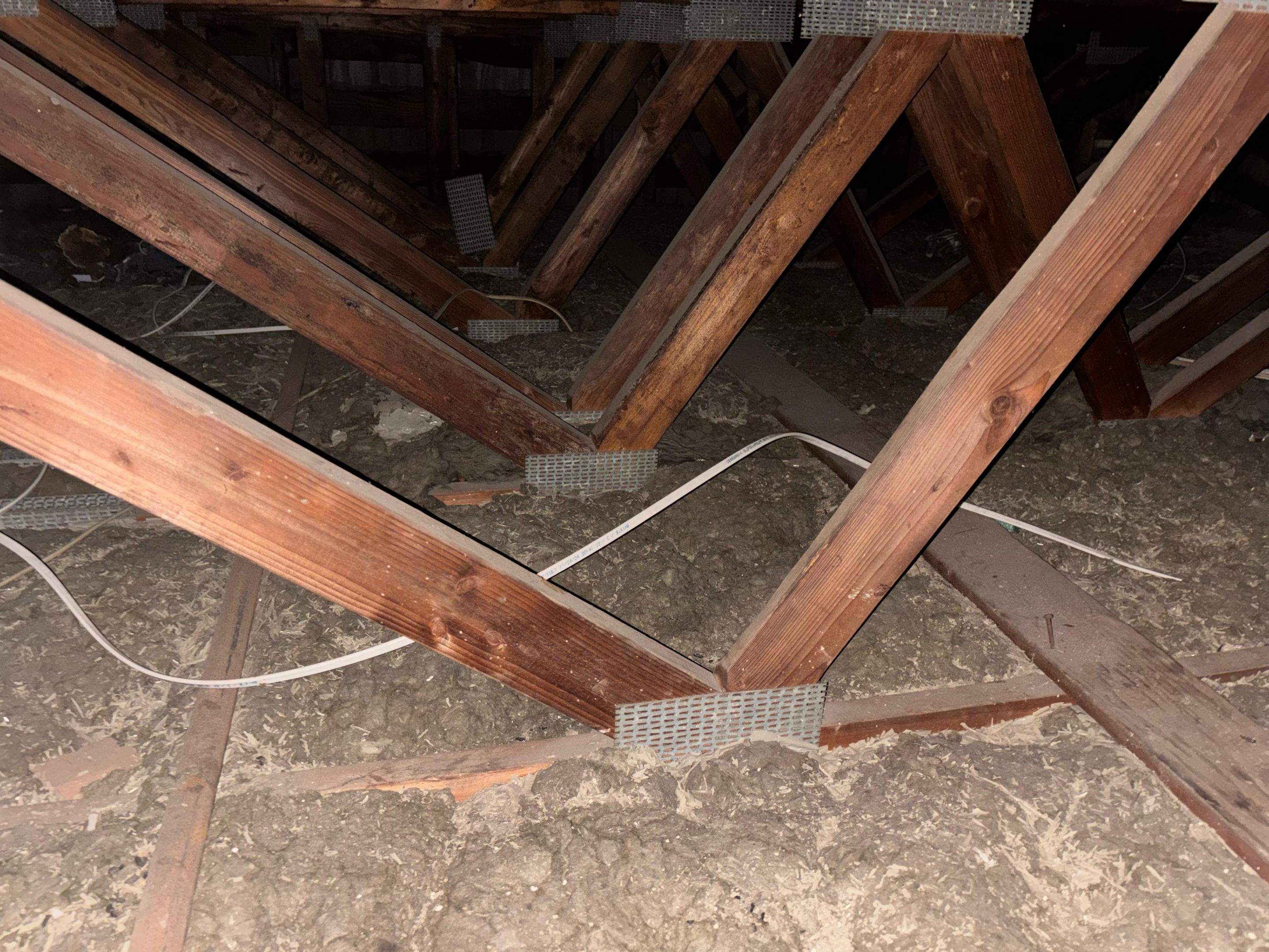 Project in Cypress by Insulation Labs