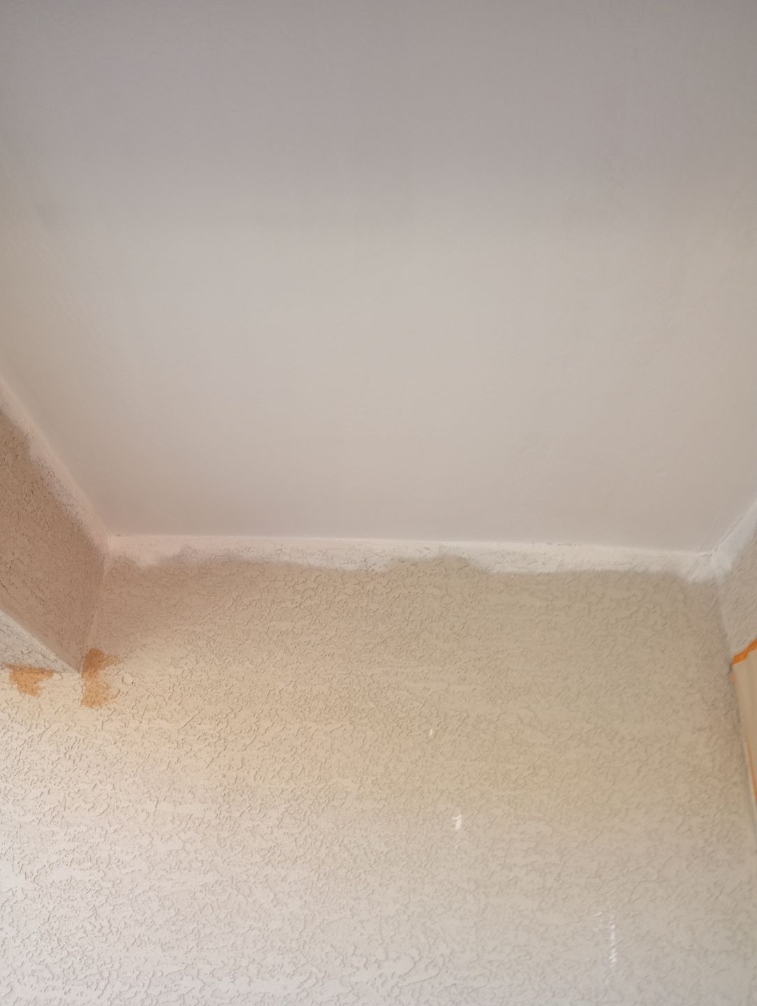 Exterior Painting - Phoenix by Crash of Rhinos Painting & Garage Floors
