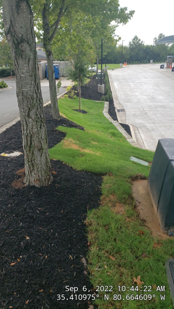 Harris Teeter Fuel Station Project Concord NC - (Commercial) by Carolina-Metro Landscape, Inc