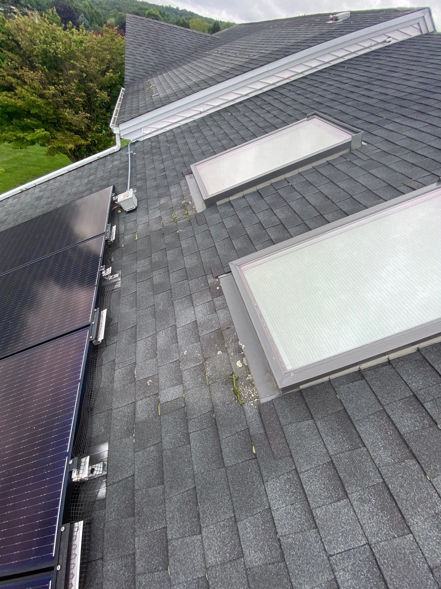Estate Gray Shingles by Reimagine Roofing
