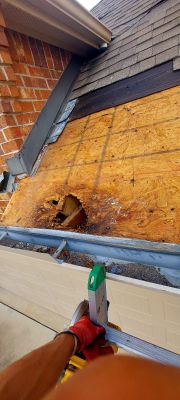 Roof Repair Spring