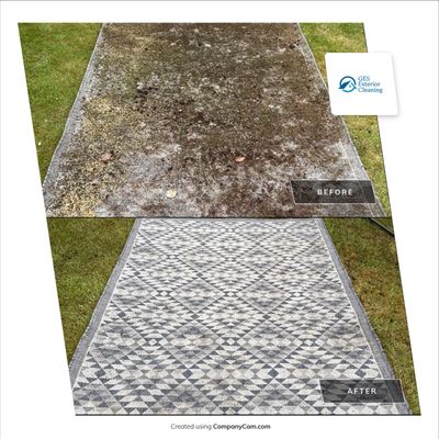 Roof Clean  - Moss Removal - Gutter Clean using Honda 15lpm Low Pressure Washing Machine