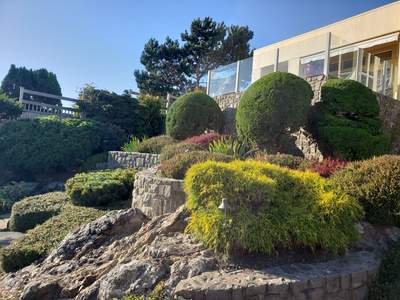 Garden Care - Oak Bay Residence