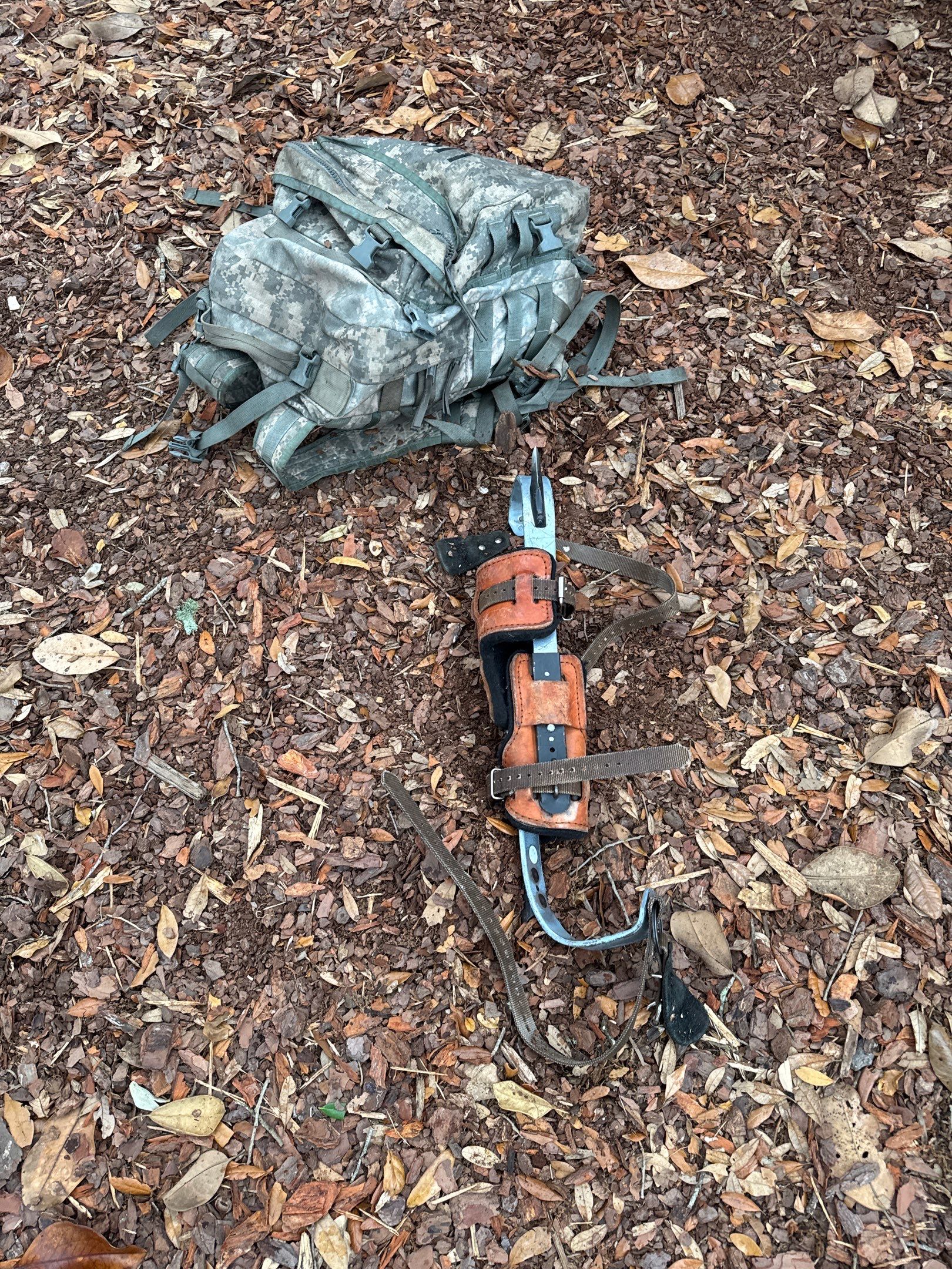 Episcopal School of Jacksonville | Tree Service by ProGreen Services