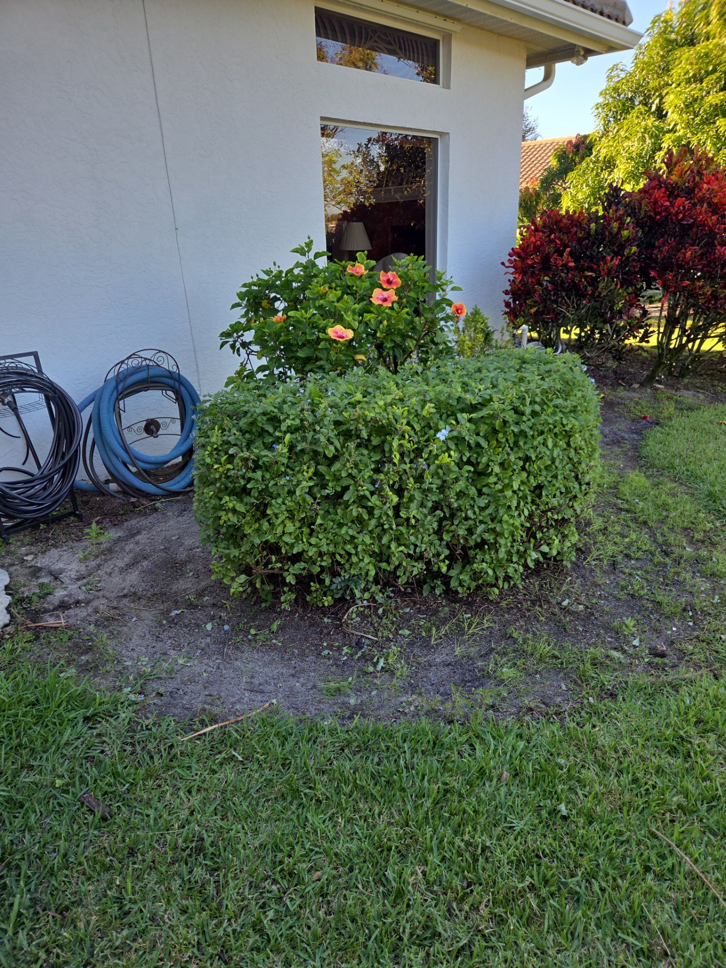 🌴 Landscape Removal and Install in Palm City by Alpha Zeta Enterprises Inc