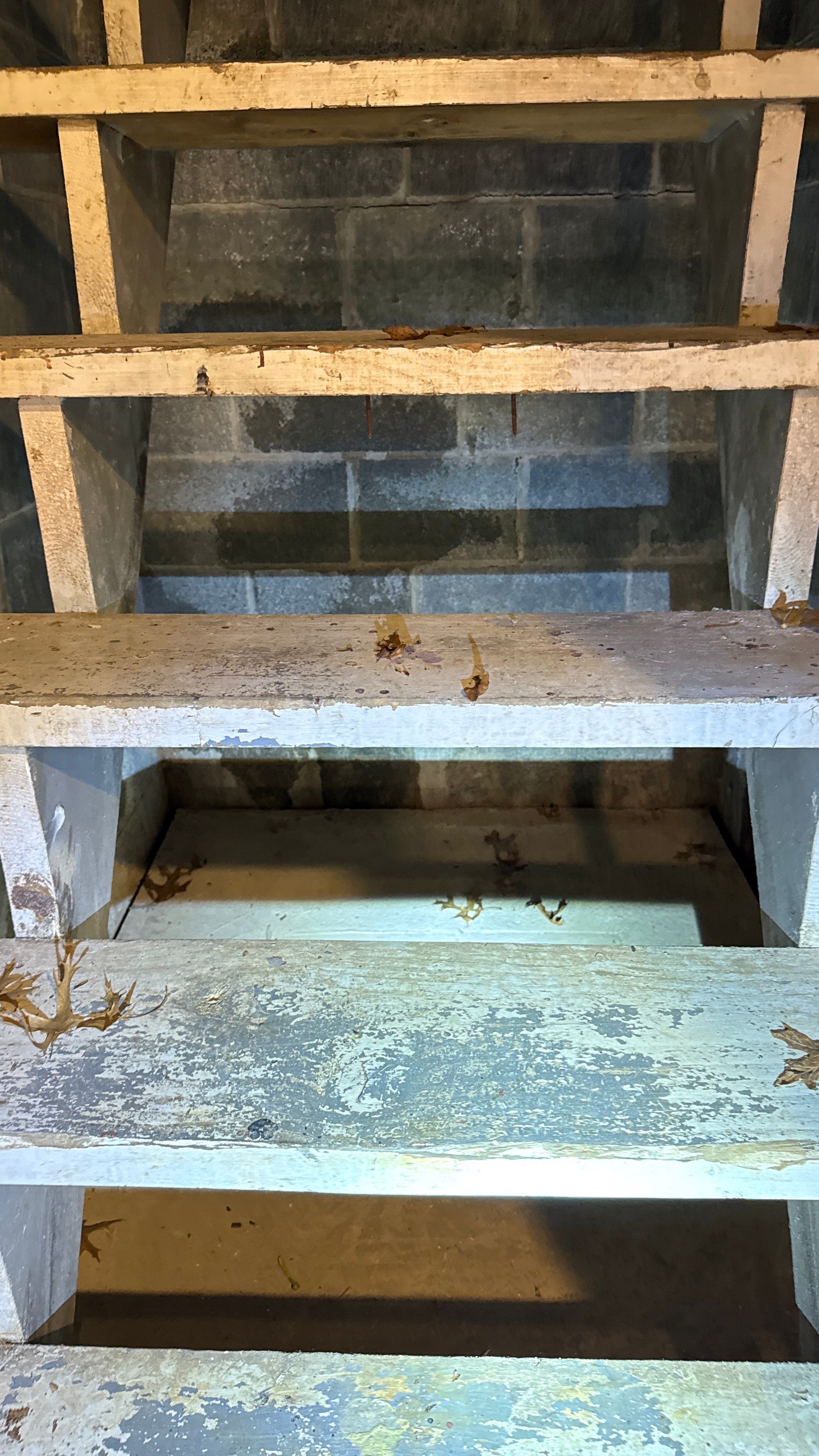 Interior French Drain in Princeton, NJ by Pure Service Pro, LLC 