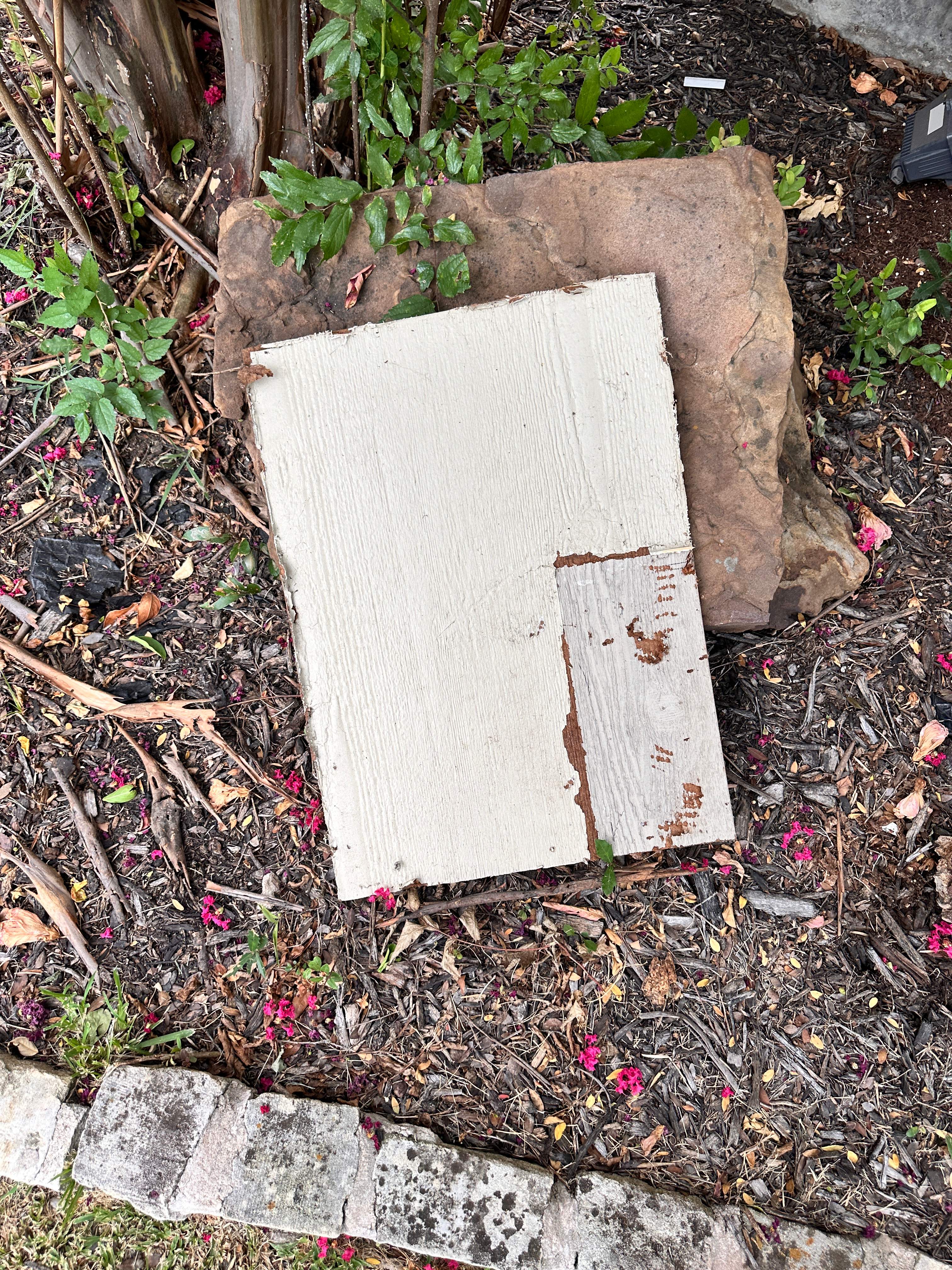 Yes, Professor. by Rockwall Honey Bee Company