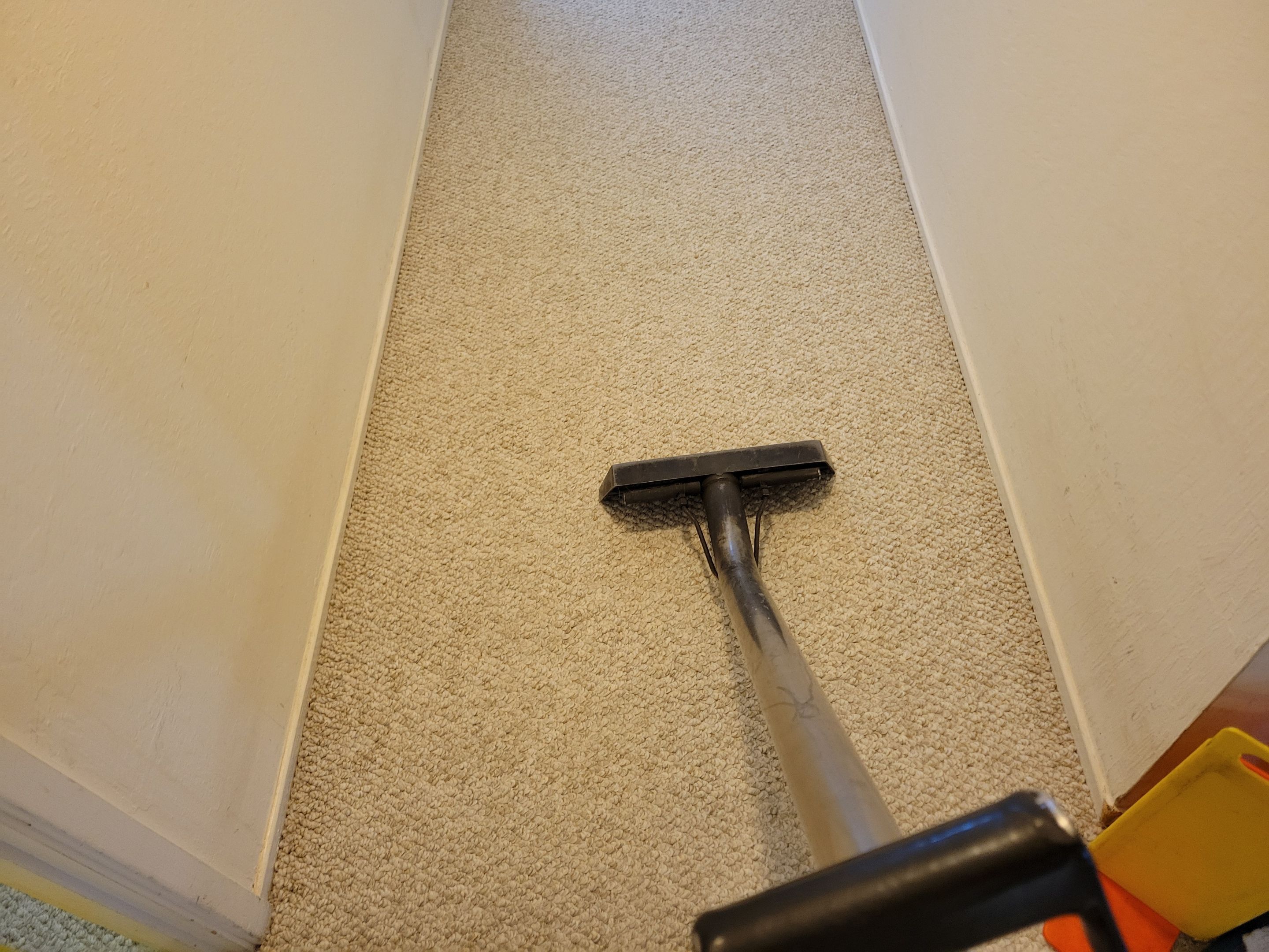 Annual, Home Carpet Cleaning by Ardent Carpet Restore LLC