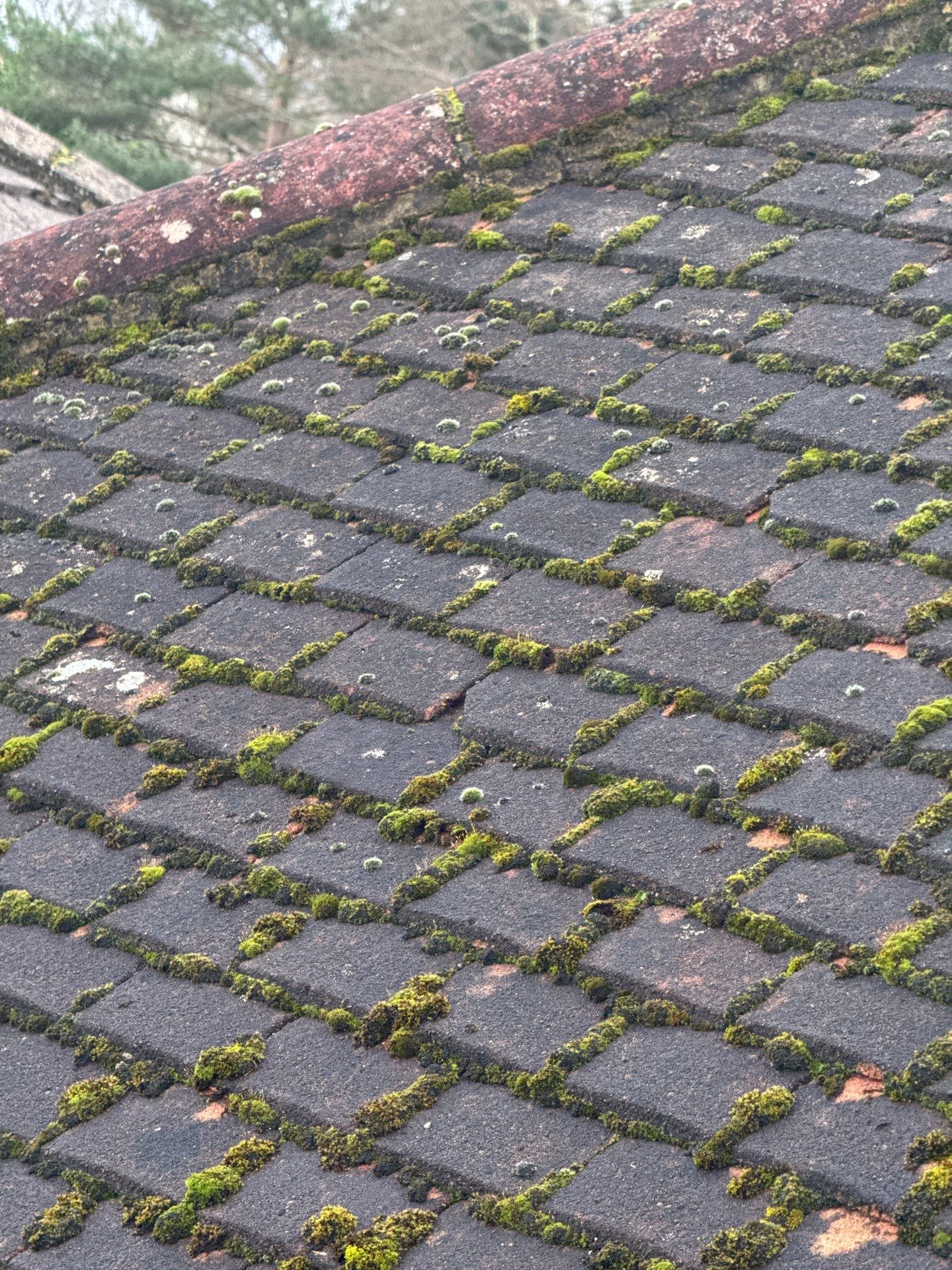 Roof And Driveway Clean by Ges Exterior Cleaning ltd