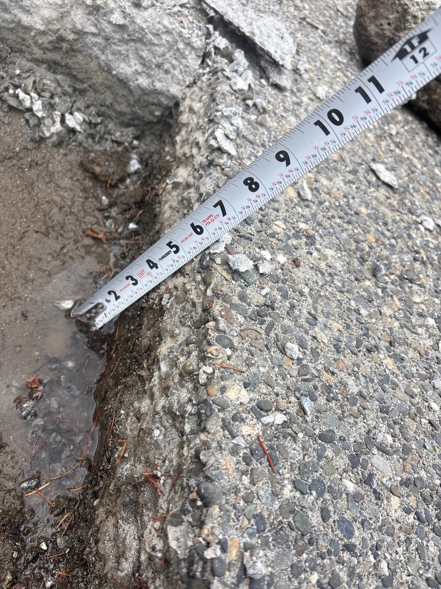 Concrete Driveway and Steps Renovation | Bothell  by Jireh Asphalt & Concrete Inc 