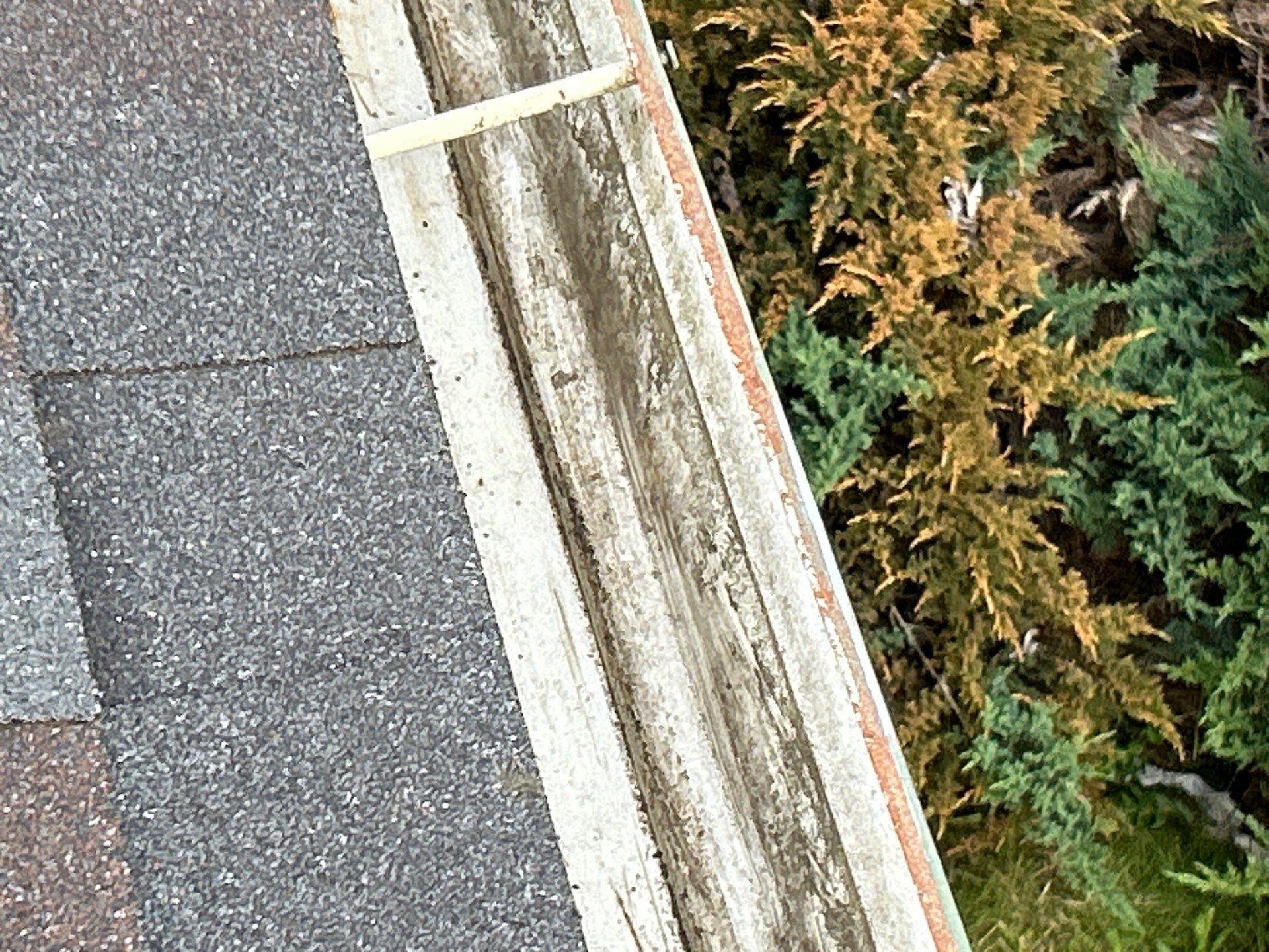 Emergency Chimney Leak Repair in Aloha by Prodigy Roof Solutions