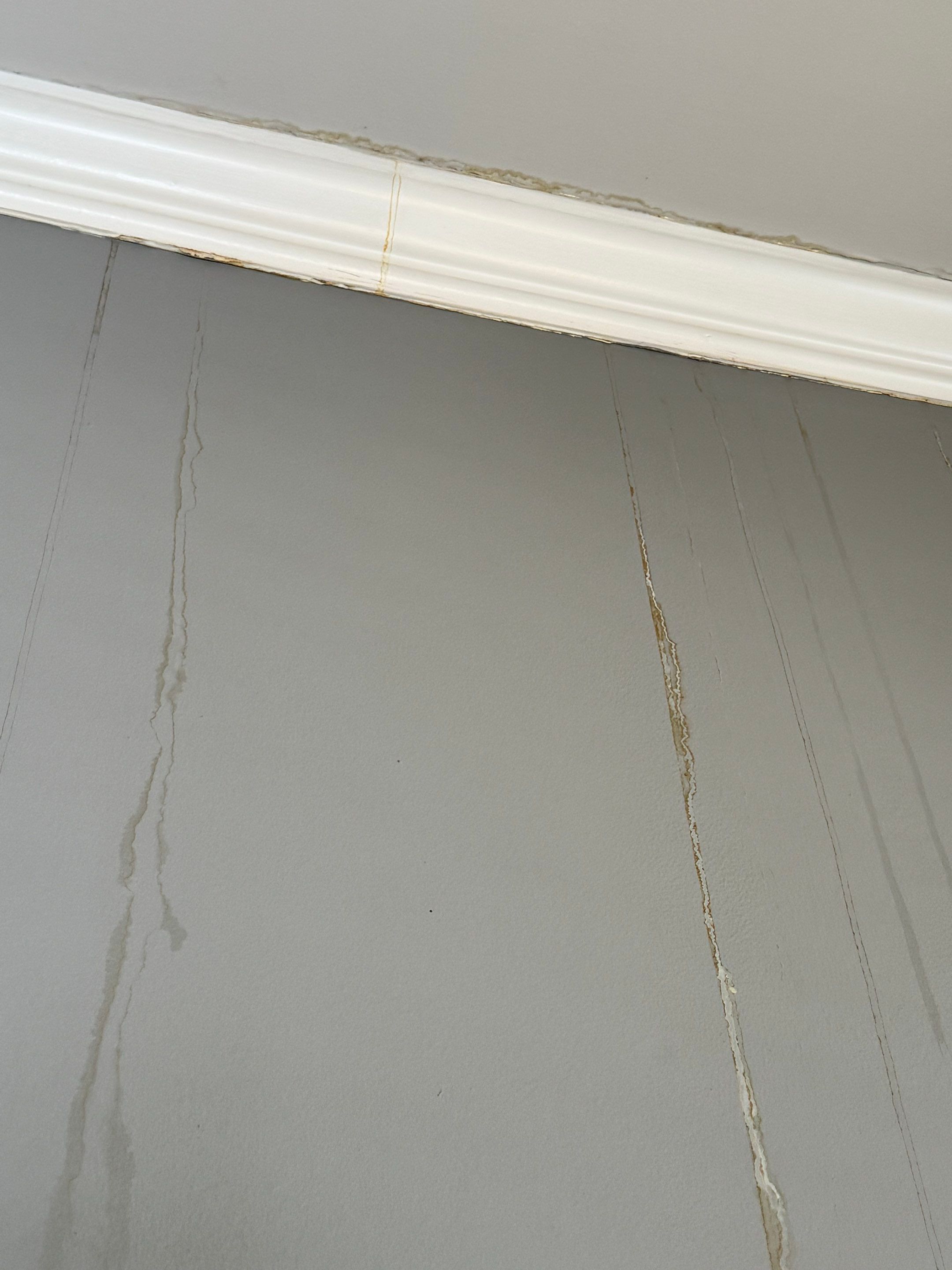 Water Damage Repair & Interior Restoration by PGP Surface Solutions, LLC