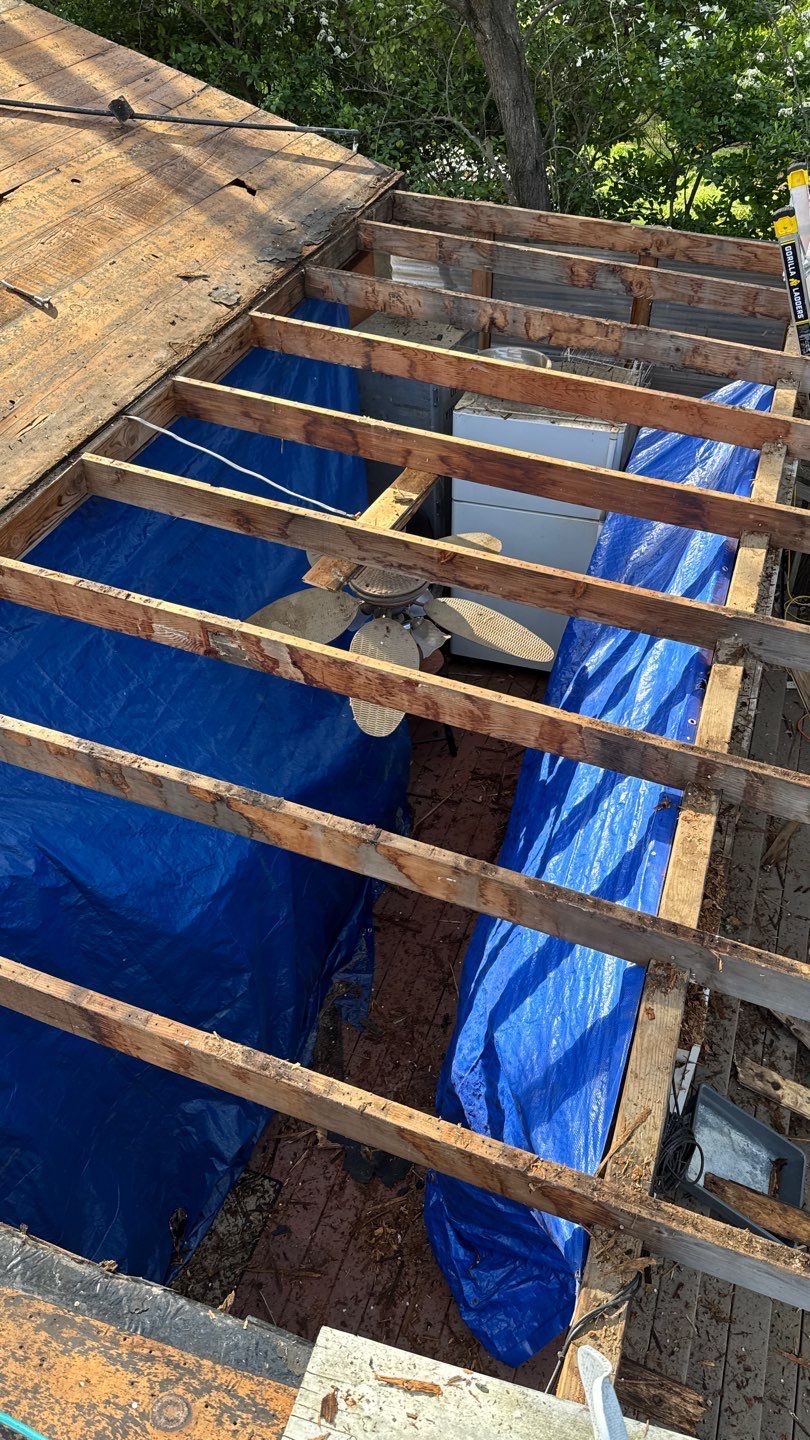 Willa Holmstock by NuLead Construction Inc