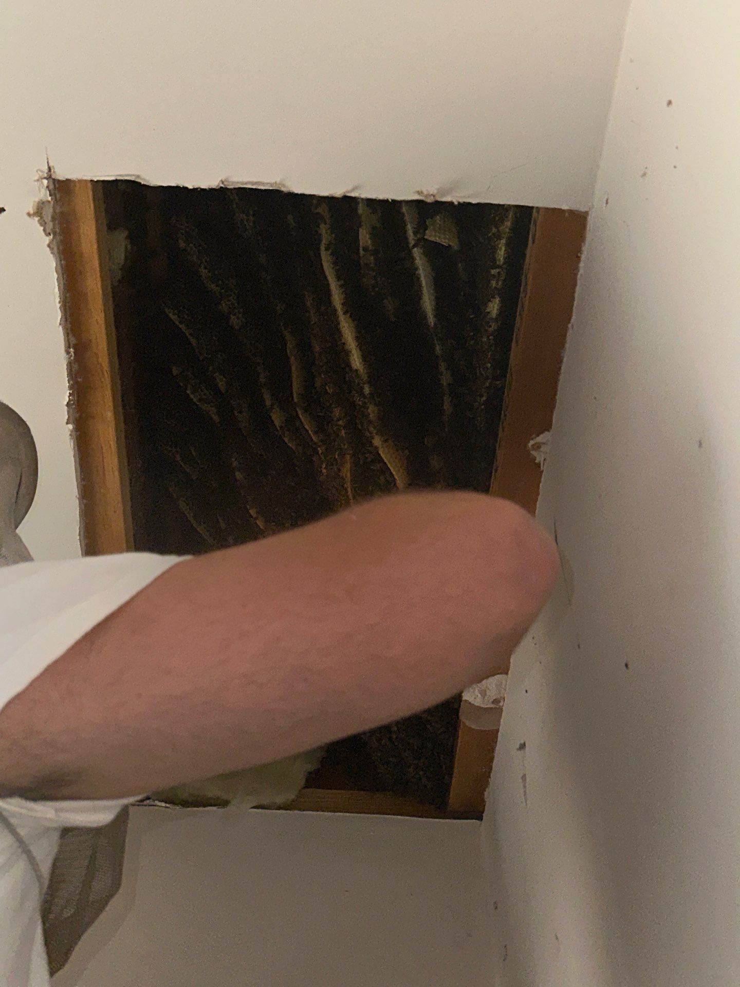 First Spring 2026 by Rockwall Honey Bee Company