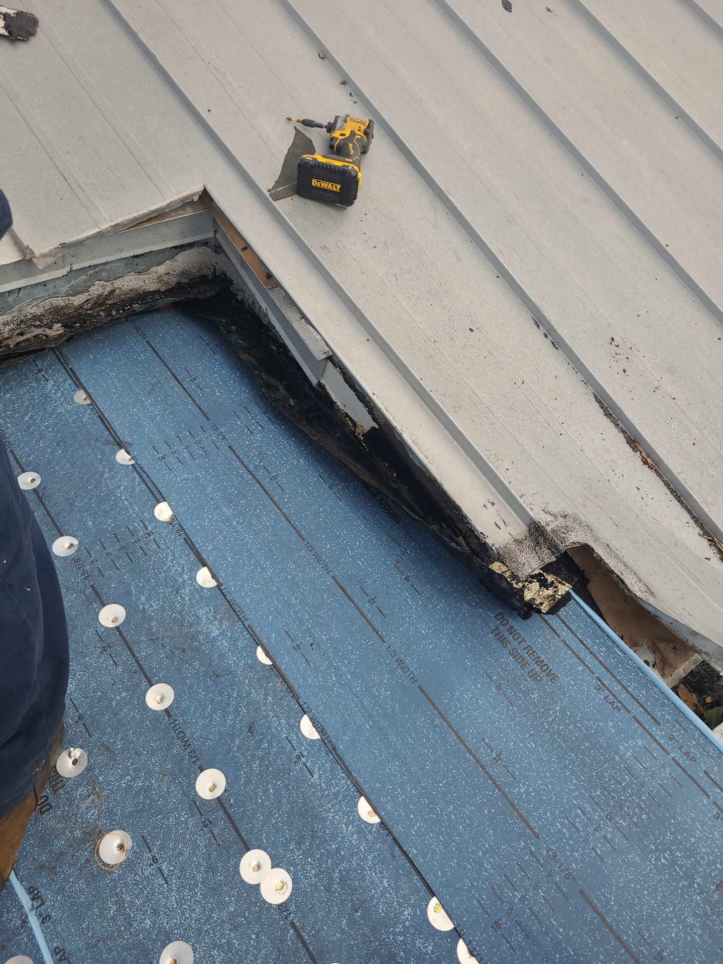 Flat Roof Replacement and Fascia Repair in Margate by Aastro Roofing