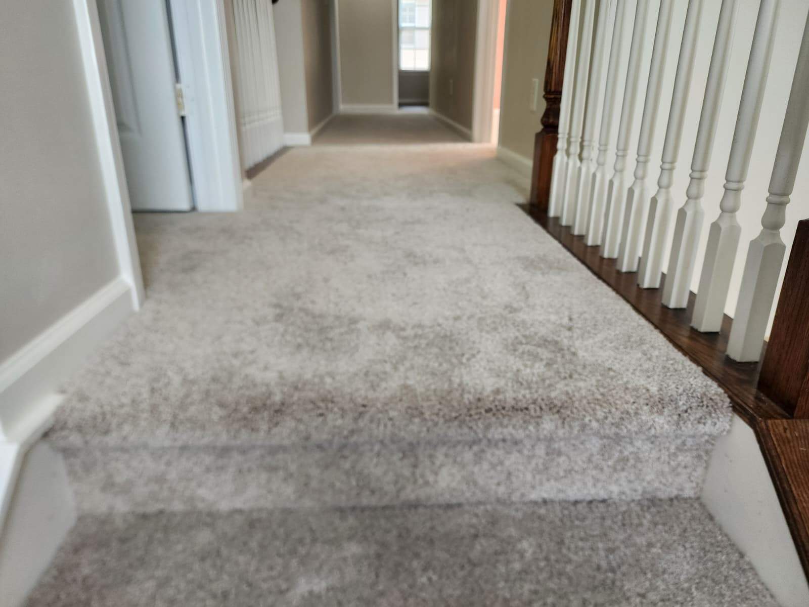 Project 57 by FMP Flooring