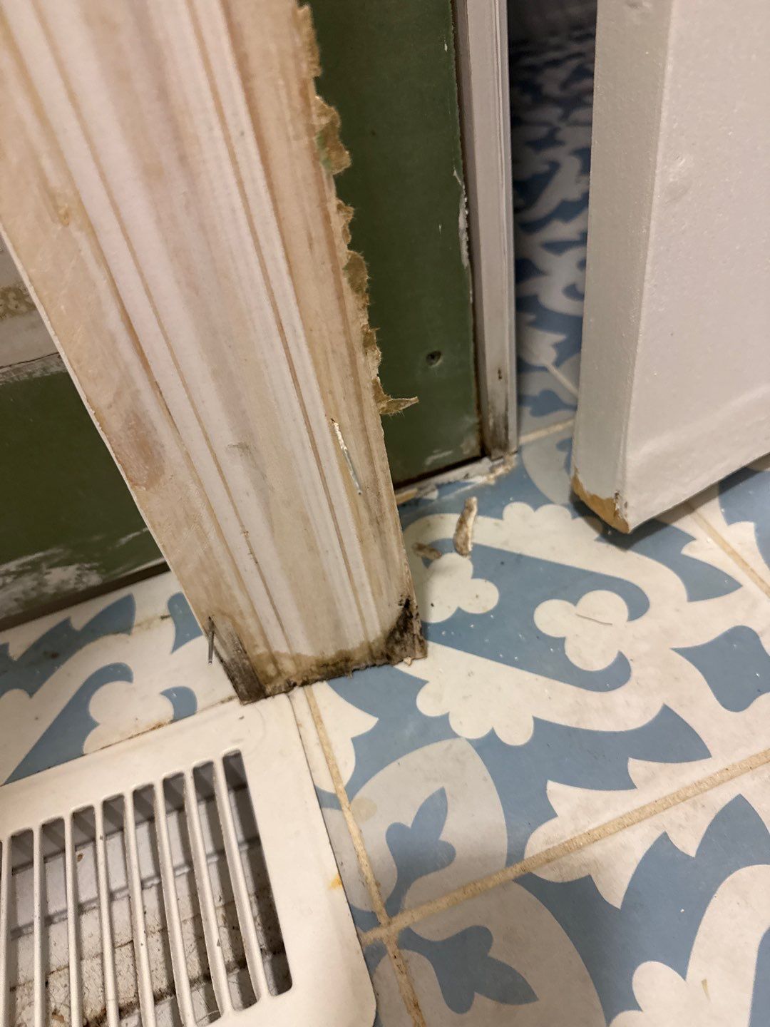 Bathroom and Crawlspace Water Damage and Mold by Healthy Home Solutions