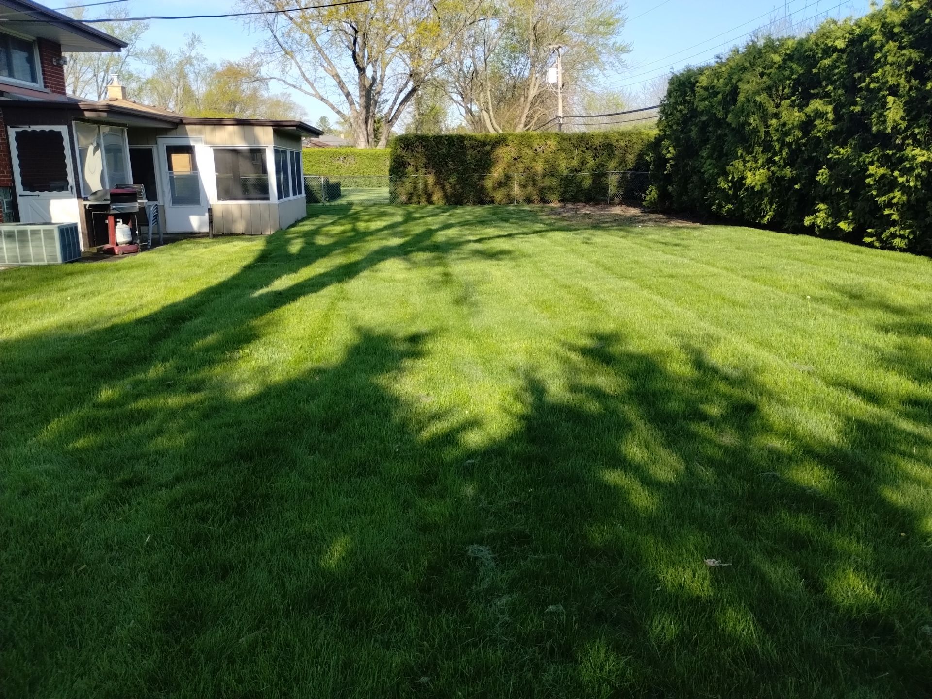 Martha C. - Mount Prospect, IL by A&N 