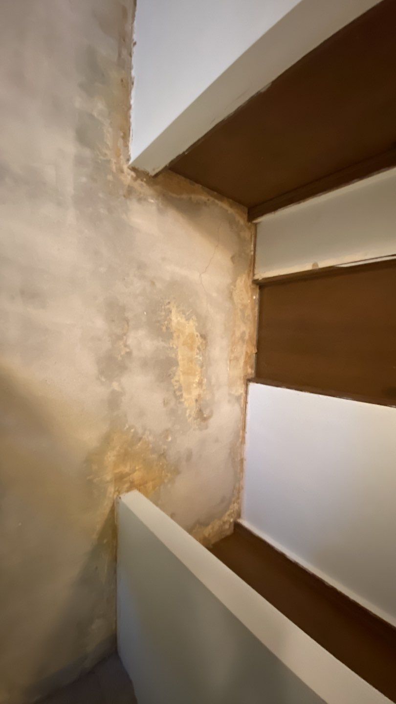 Basement using Tidalwave by Select Painting, Coatings & Garage Cabinets