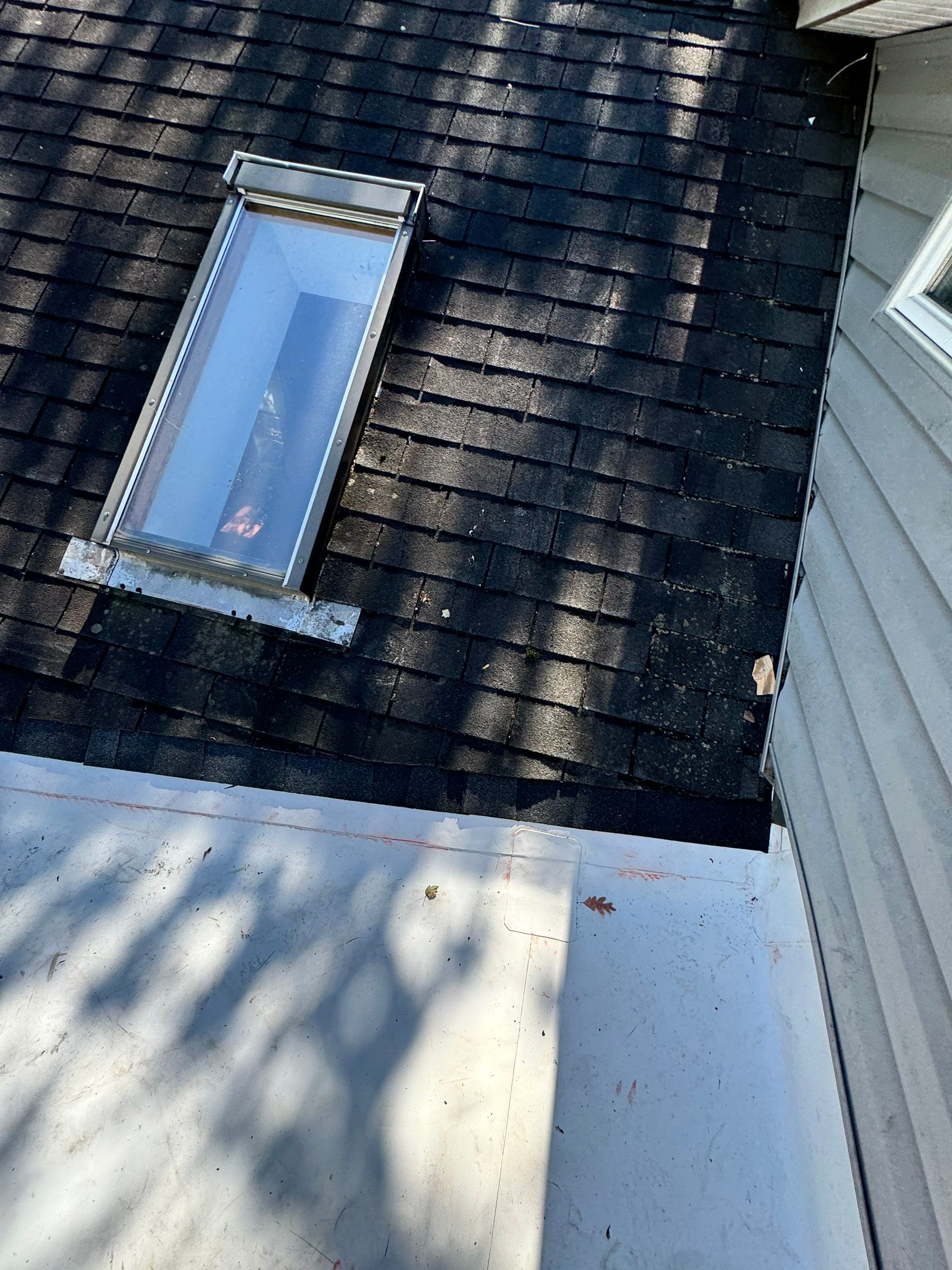 Alexandria: Residential Flat Roof Replacement with MuleHide TPO by RM Banning, Inc.