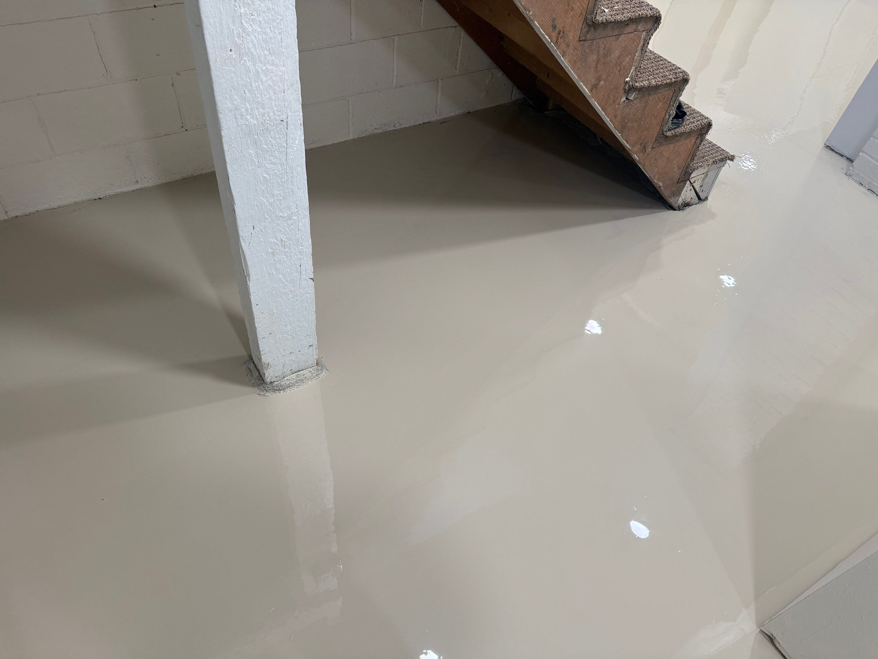High-Gloss Epoxy Floor Coating and Basement Renovation in Rock Rapids by Select Painting, Coatings & Garage Cabinets