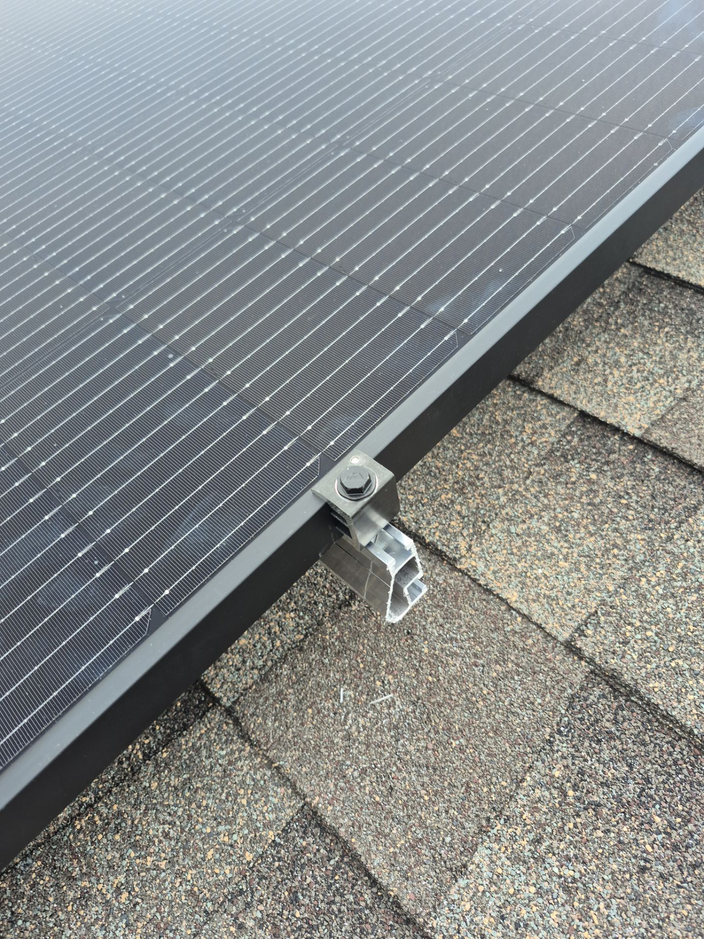 Joyce in Glenn Heights by Trojan Solar