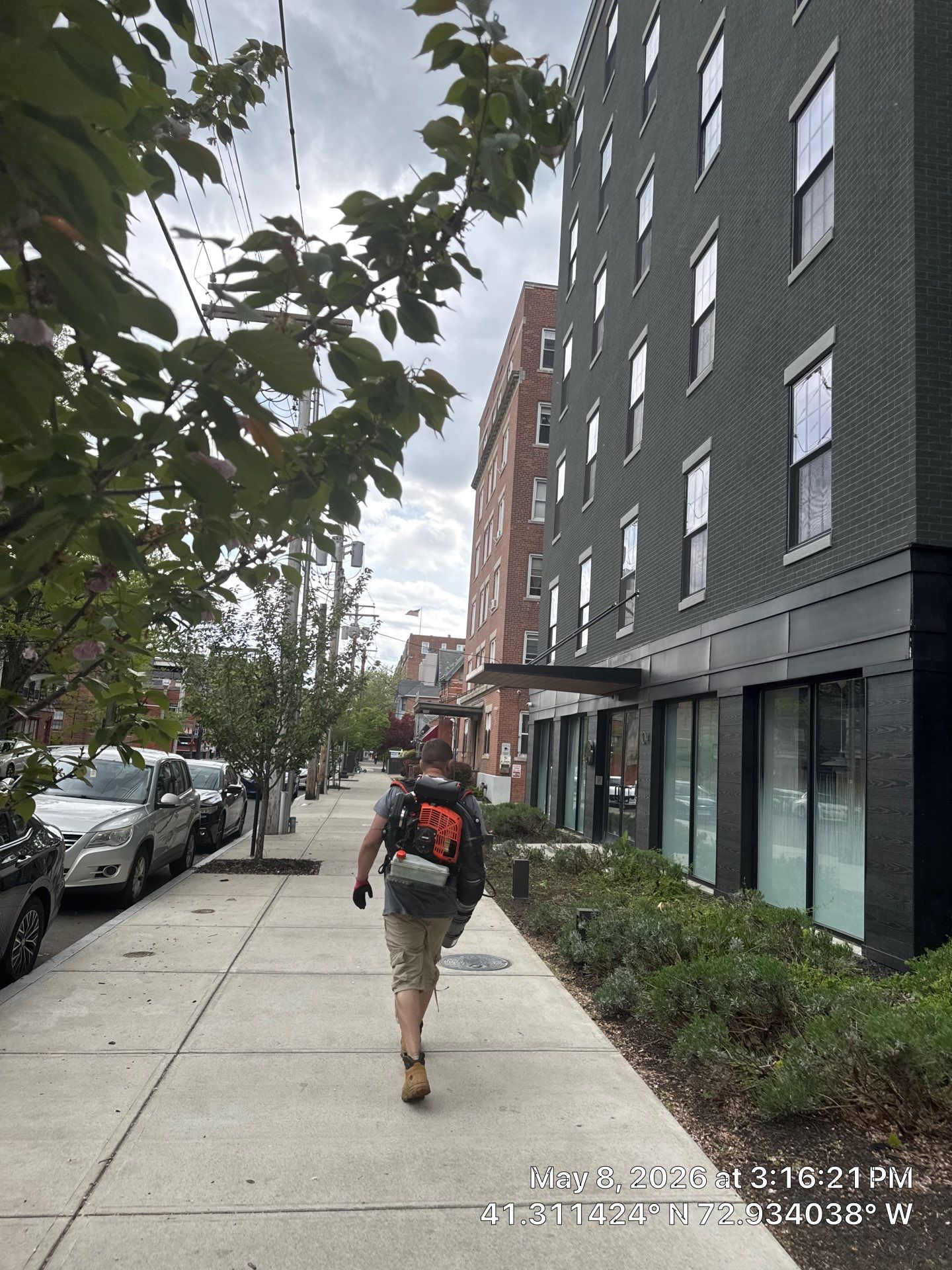 Modern Commercial Landscaping and Grounds Maintenance in New Haven by Diamond Image LLC