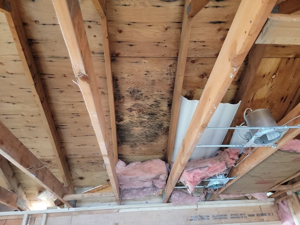 It all started with hail.  by Weather-Tite Exteriors LLC