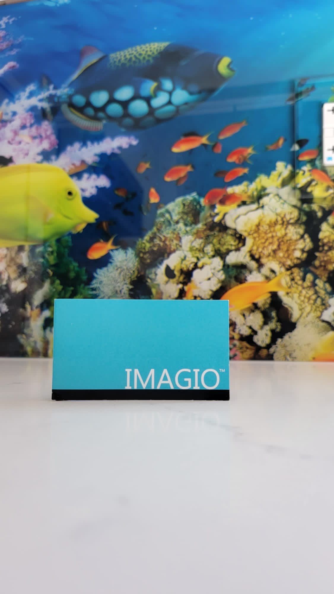 IMAGIO under the sea solid glass kitchen backsplash by IMAGIO