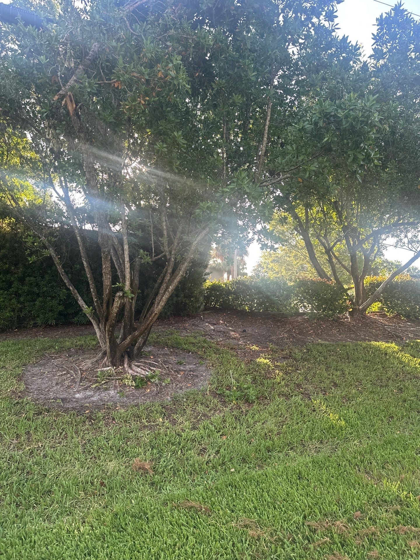 🛏️ City Mattress Refresh — Jensen Beach by Alpha Zeta Enterprises Inc