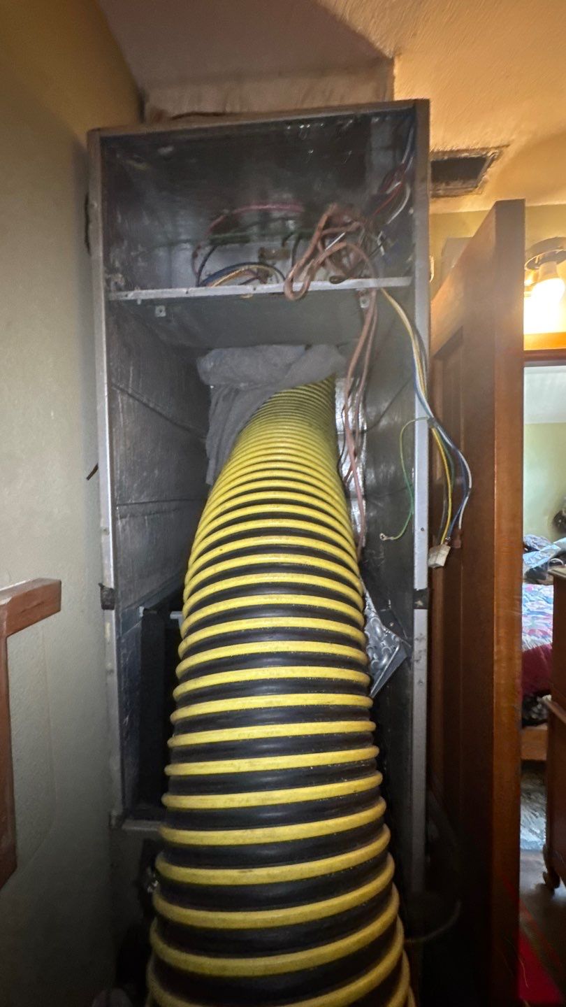 Extremely Dirty Air Duct Cleaning in Fruitland Park by Hygienic Air, Inc