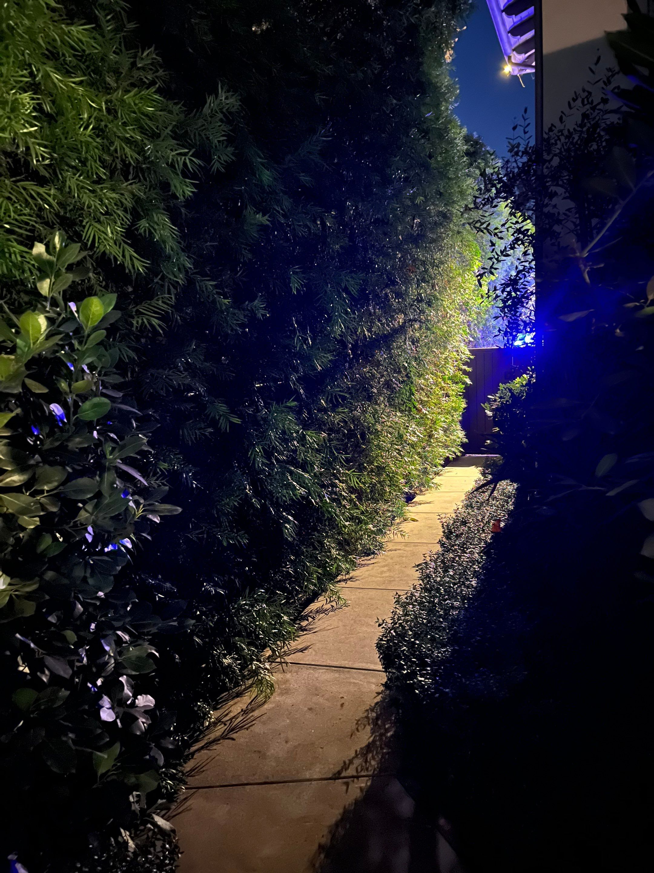 Luxury Defined by Custom Lights + Shades