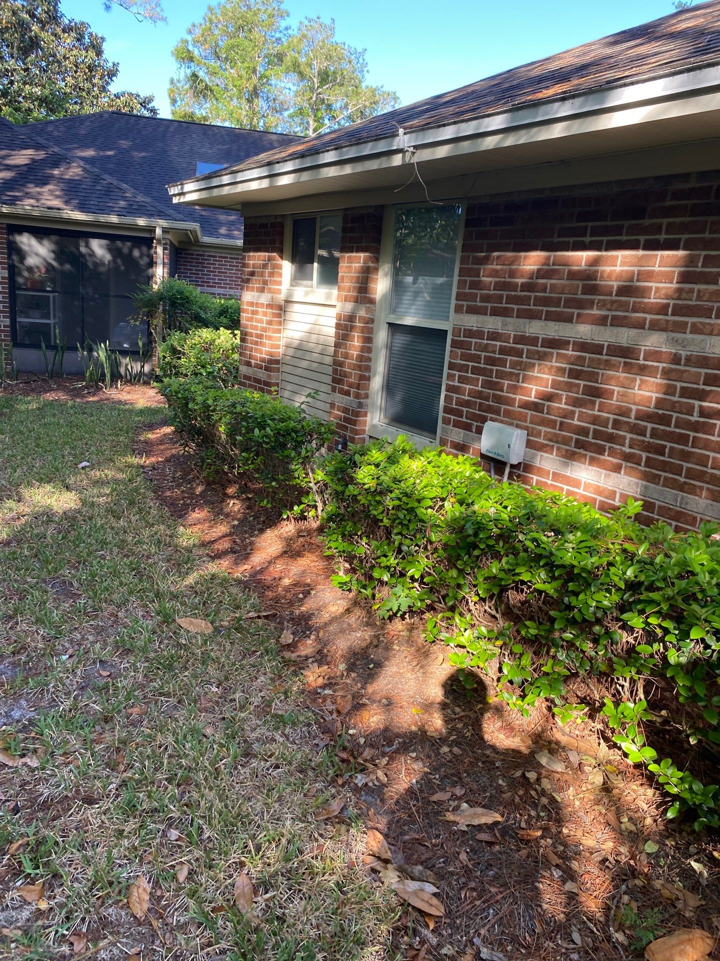 Residential | Volunteer Clean-Up by ProGreen Services