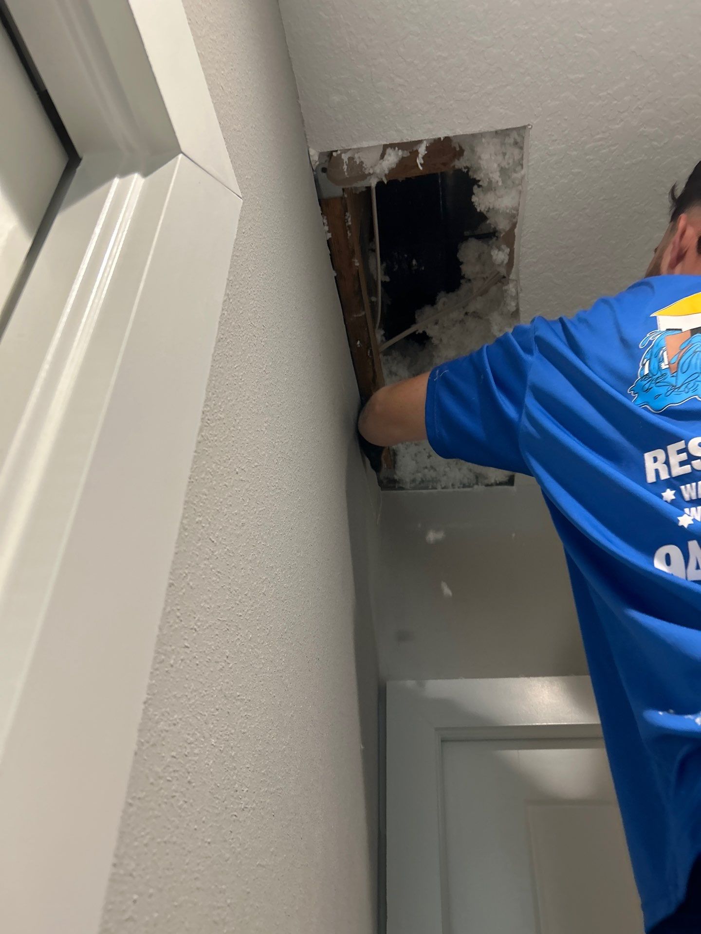 Mold Damage Removal In Bradenton by Ampm Restoration Services