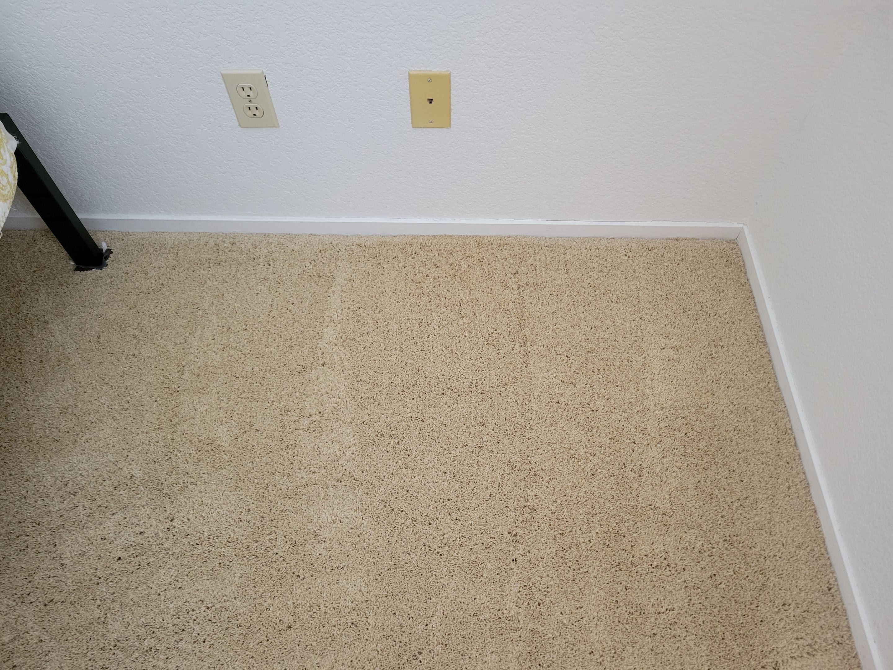 Carpet Re-stretching and Cleaning by Ardent Carpet Restore LLC