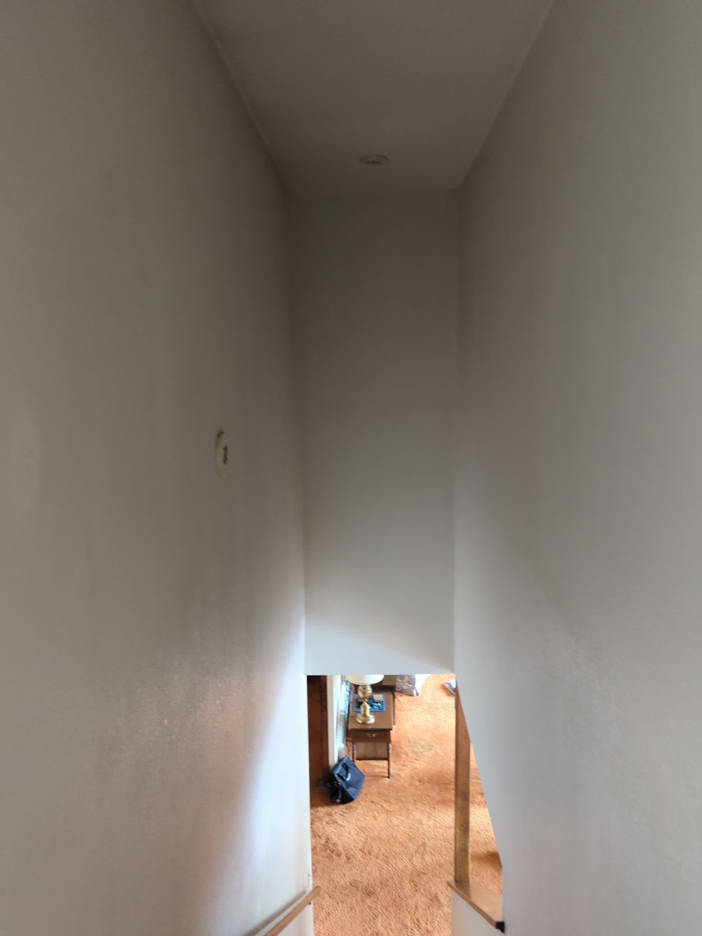 Whole Home Interior Painting by Midnight Sun Painting