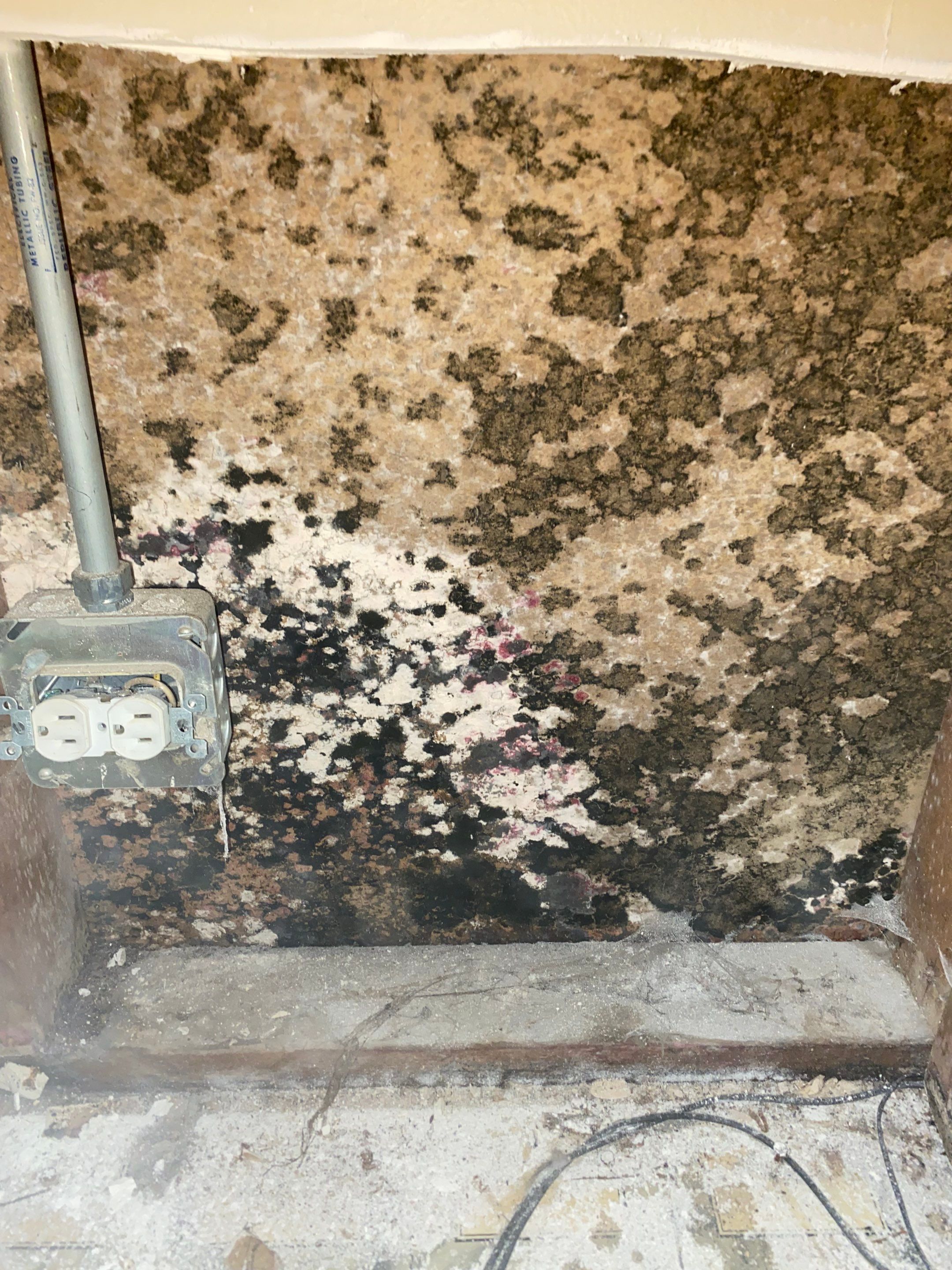Mold Remediation Project by Chicagoland Water Medics