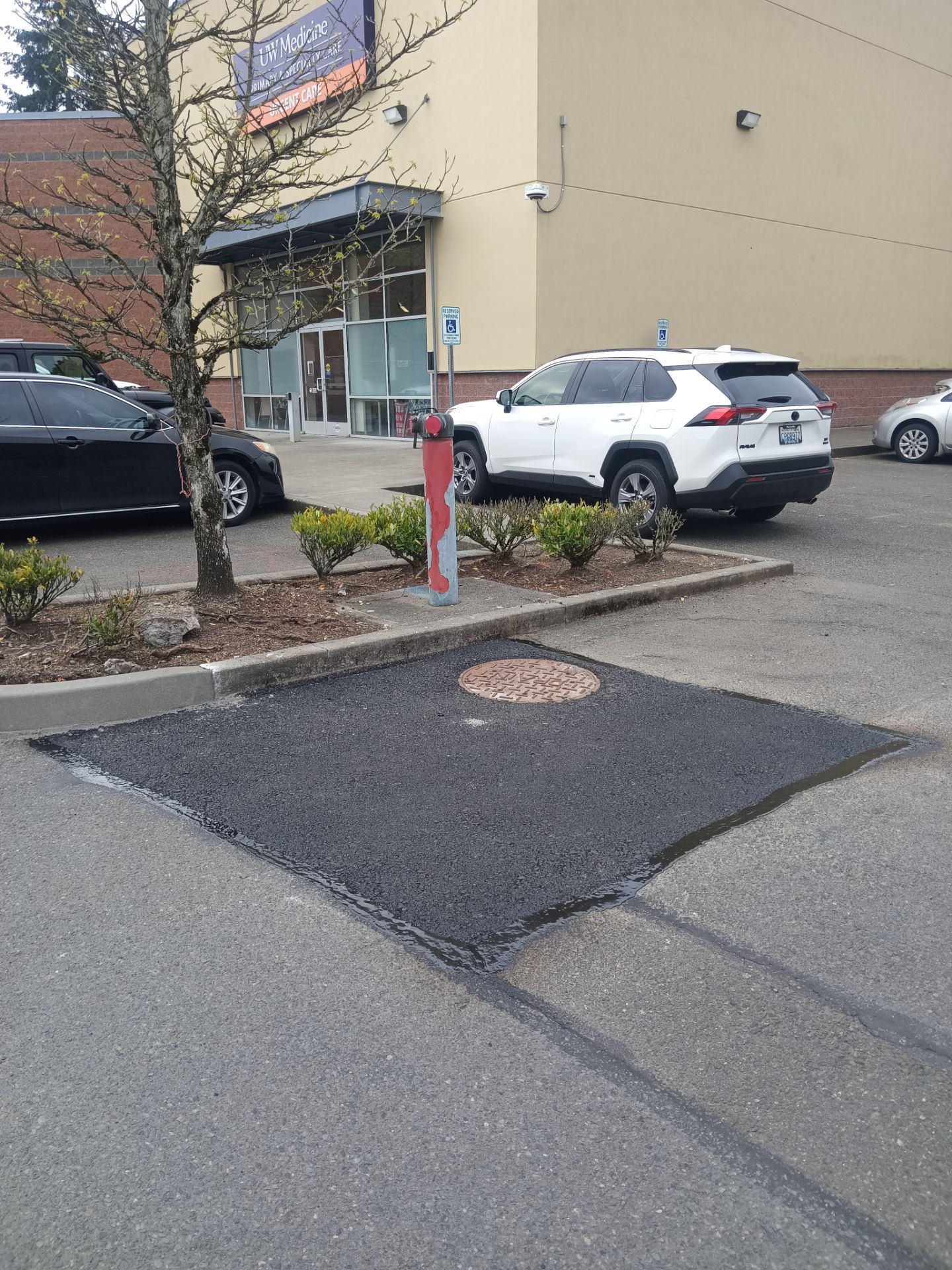 Asphalt Patch Repairs | Mountlake Terrace by Jireh Asphalt & Concrete Inc 