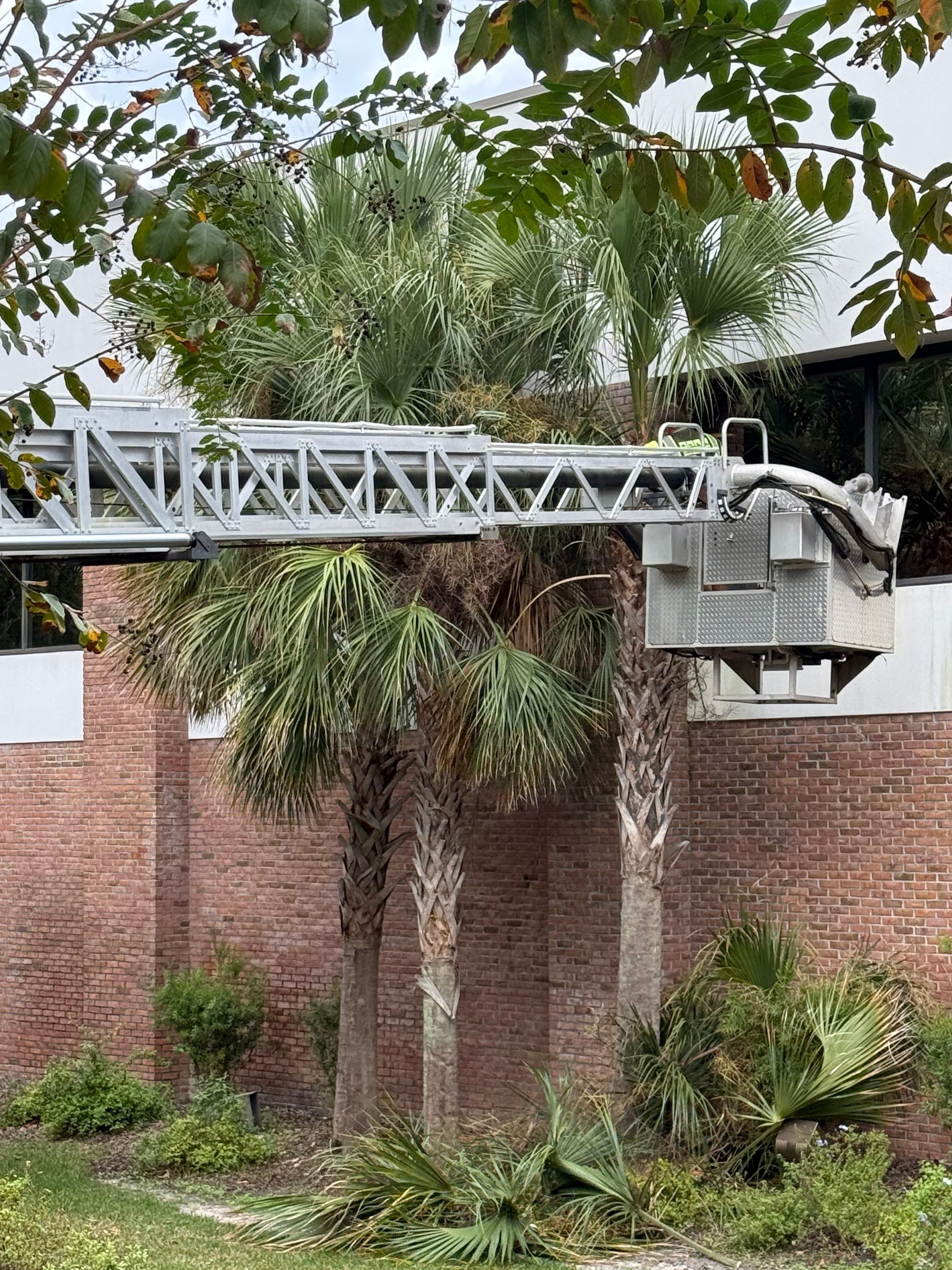 Volunteer Work | Episcopal High School of Jacksonville by ProGreen Services