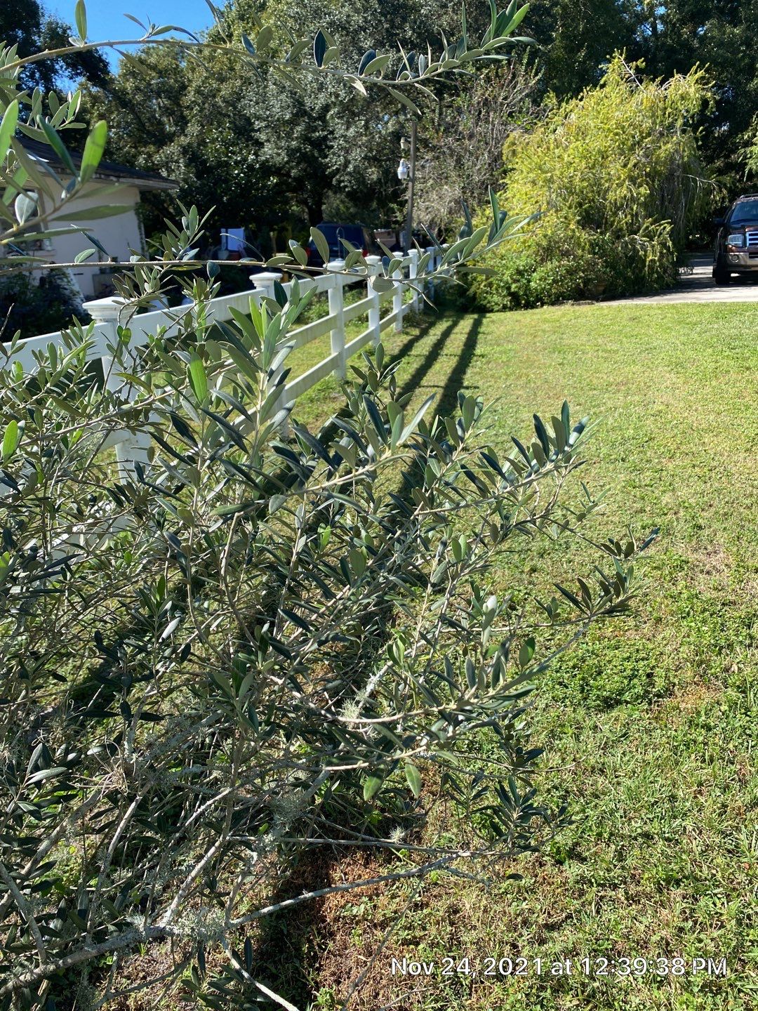 Palmetto, FL 6 ft. Tall White Vinyl Privacy Fence  by Asap fence and gates, LLC