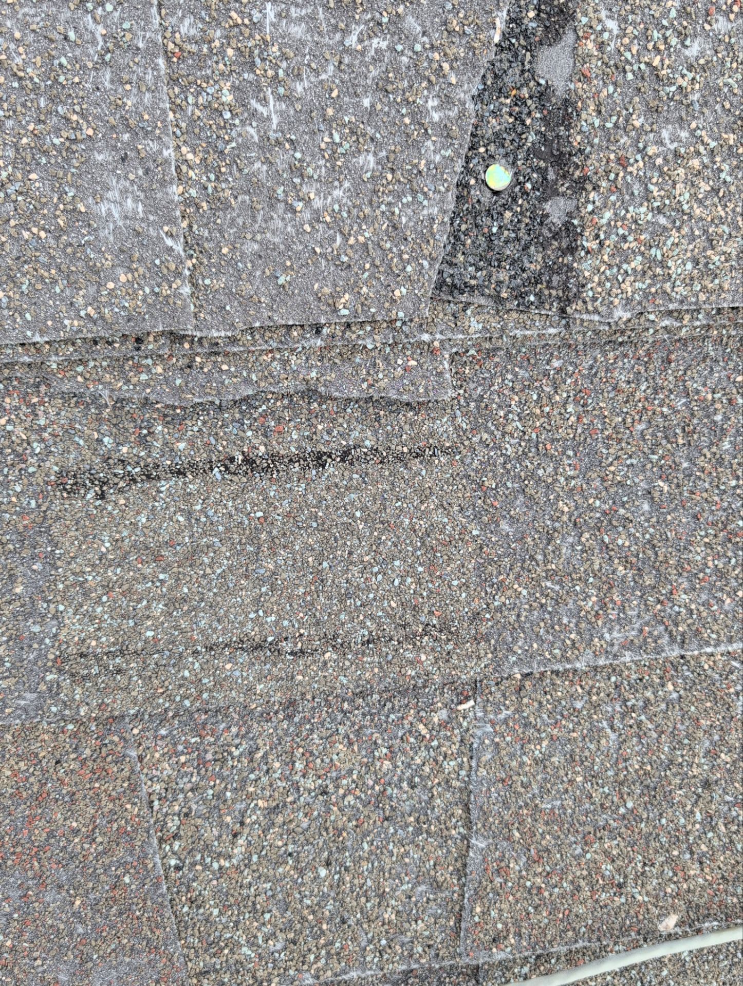 Roof Replacement & Seamless Gutters in Ozark by Table Rock Design + Build