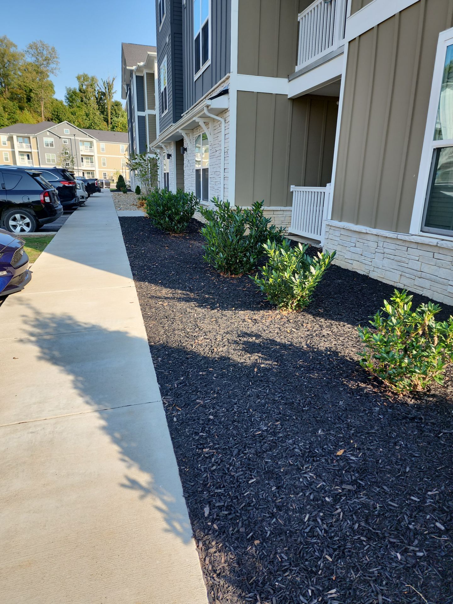 Commercial Property Maintenance  by Elite Proscapes LLC